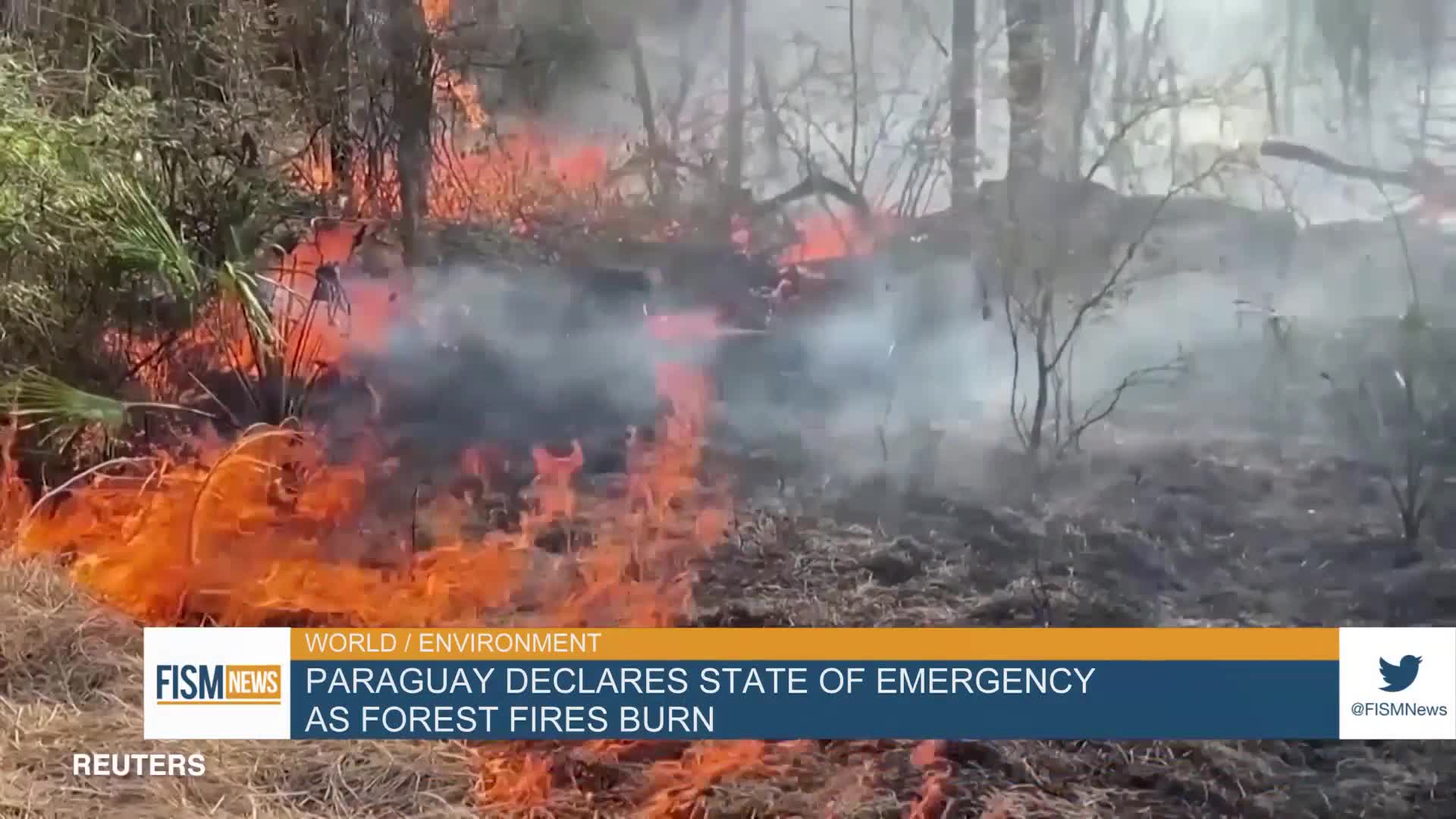 Paraguay Declares State Of Emergency As Forest Fires Burn