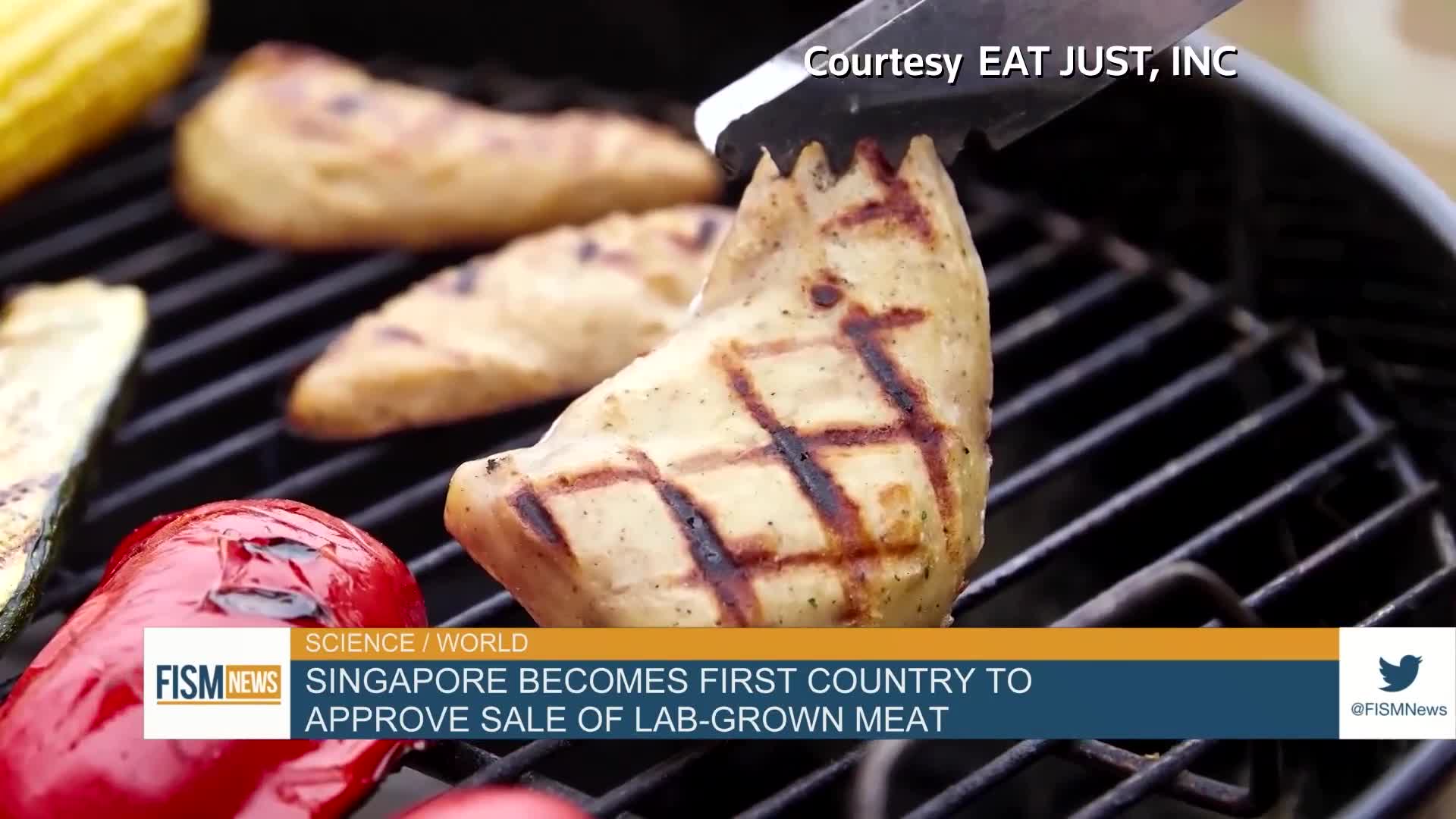 Singapore Becomes First Country To Approve Sale Of Lab-Grown Meat