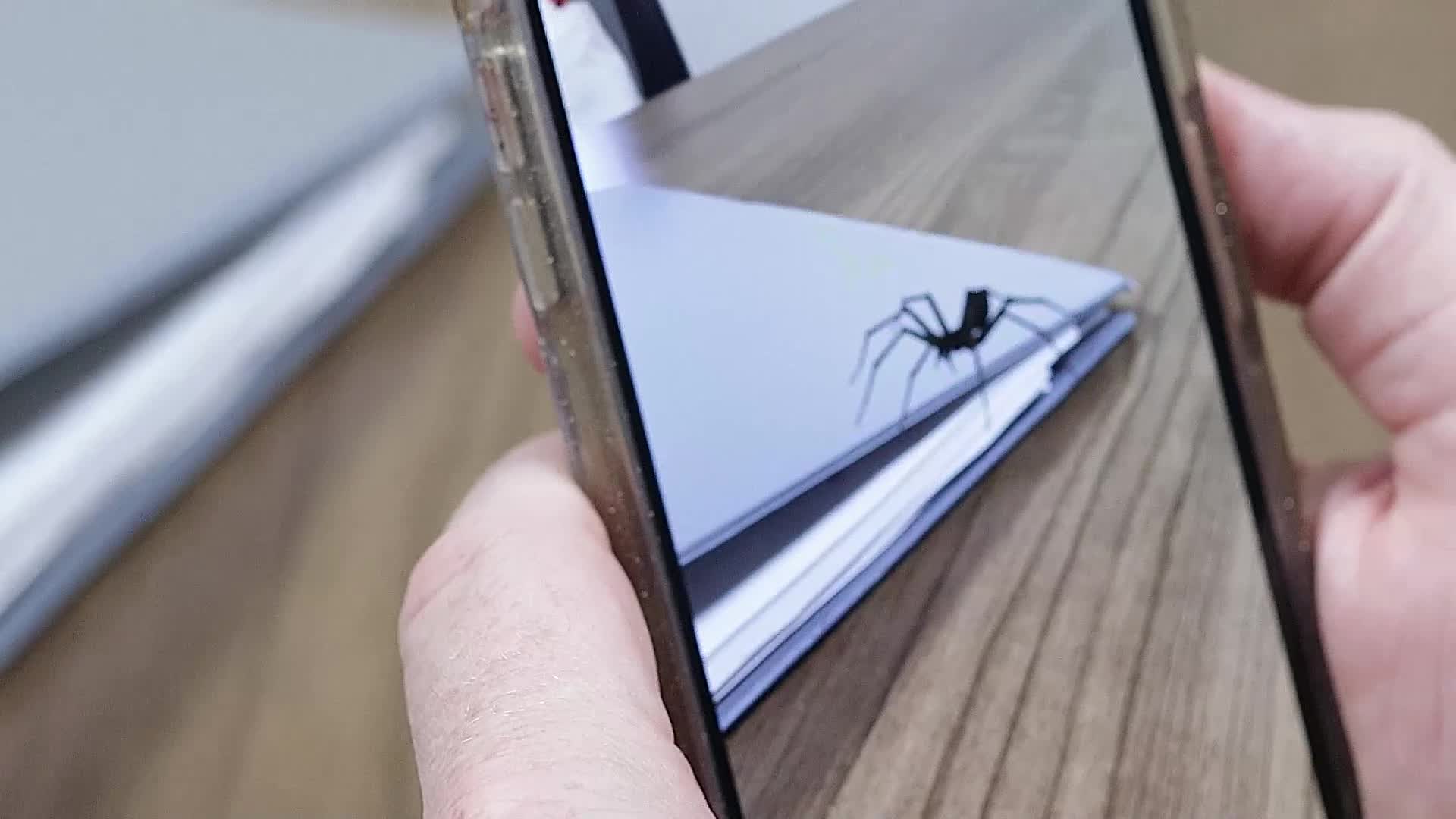 Researchers develop app to combat arachnophobia