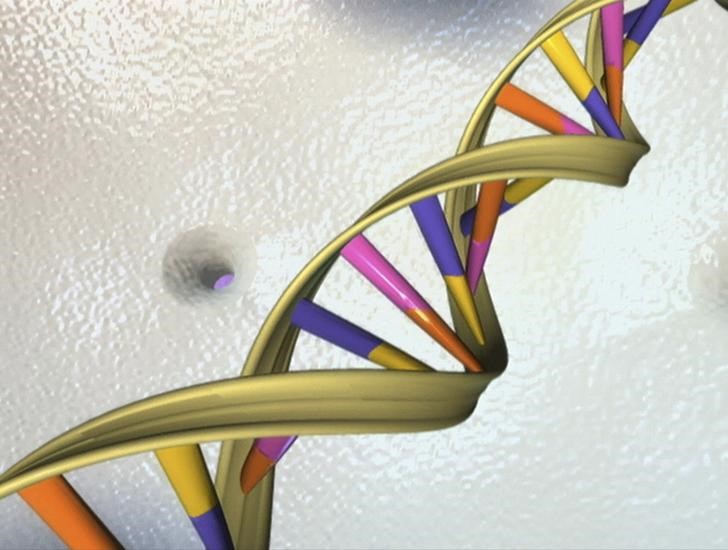 Scientists publish the first complete human genome