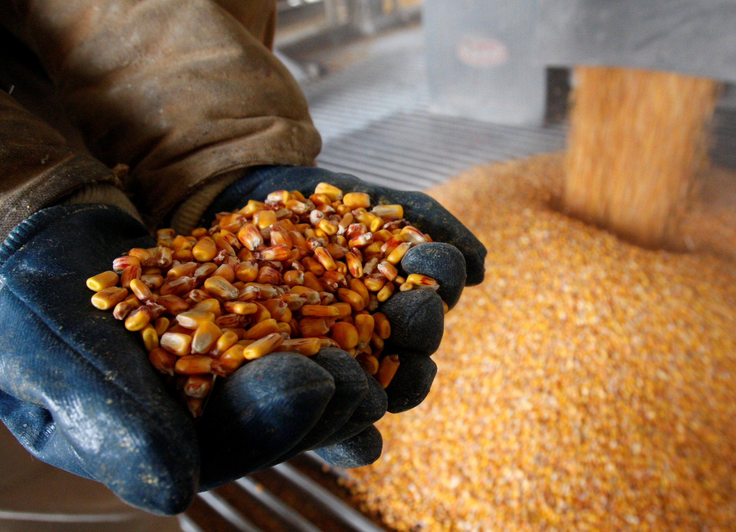 ‘The Worst May Be Behind Us’: U.S. Ethanol Industry Says Inching Back From Collapse