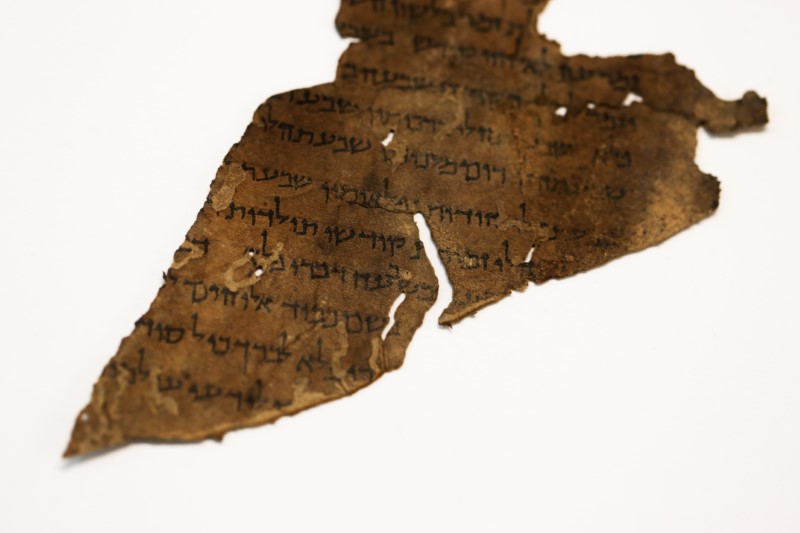 DNA Helps Scholars Learn More About The Dead Sea Scrolls