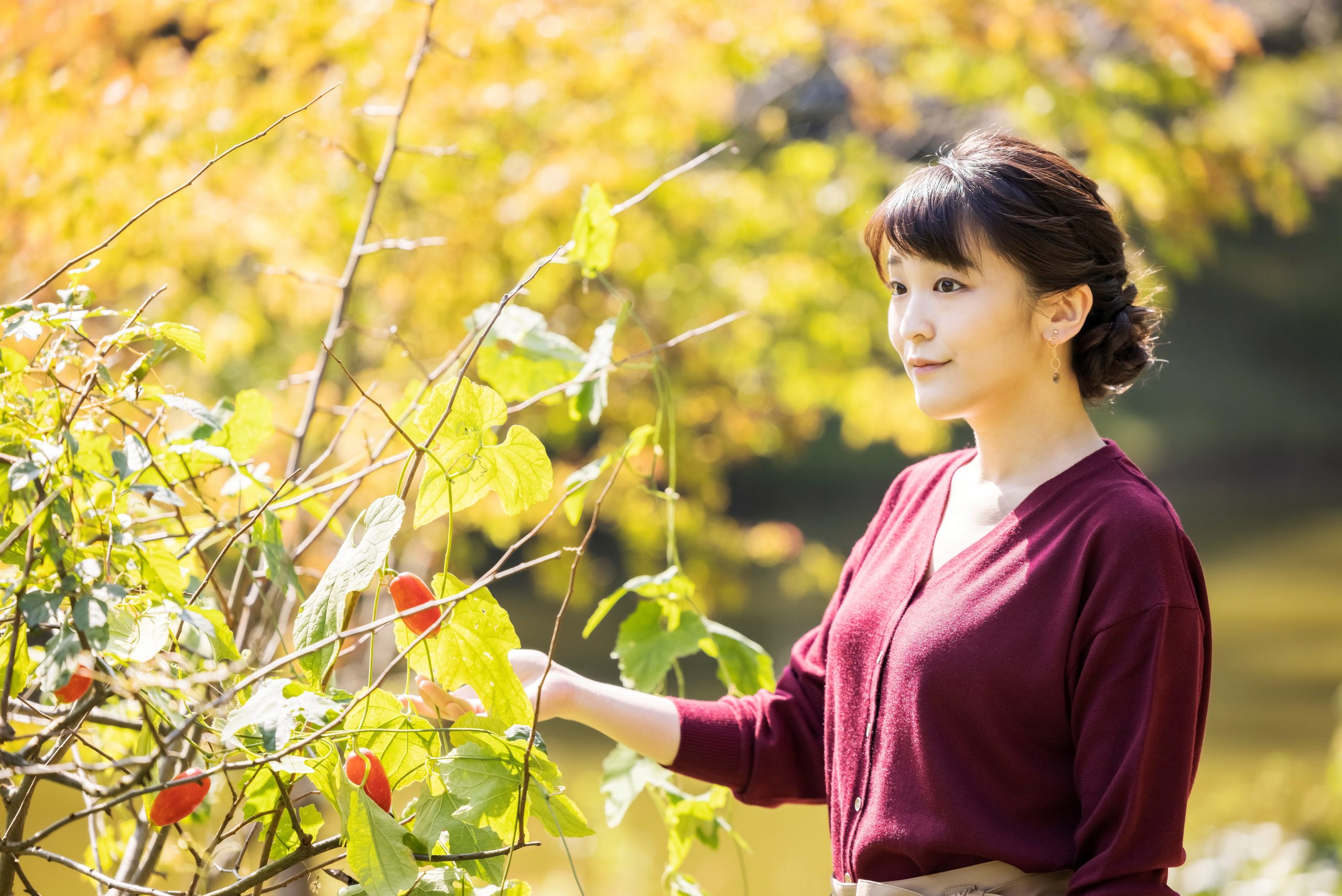 Japanese princess makes a controversial move in marrying a commoner