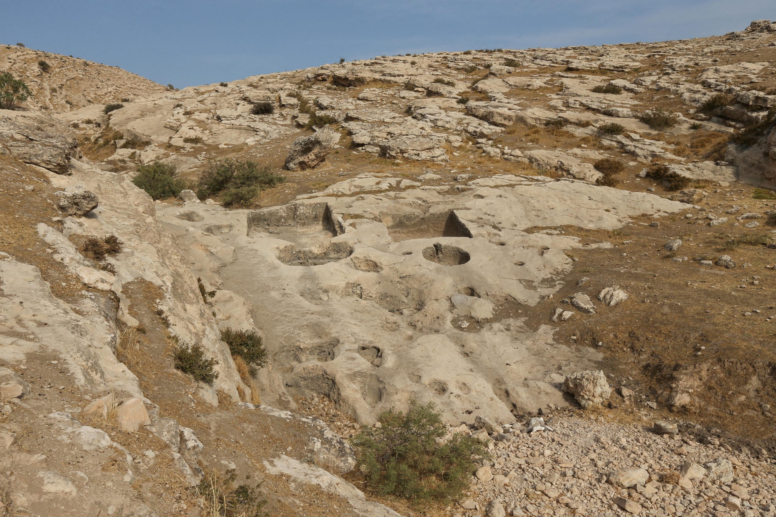 Wine press dating back 2,700 years discovered in northern Iraq