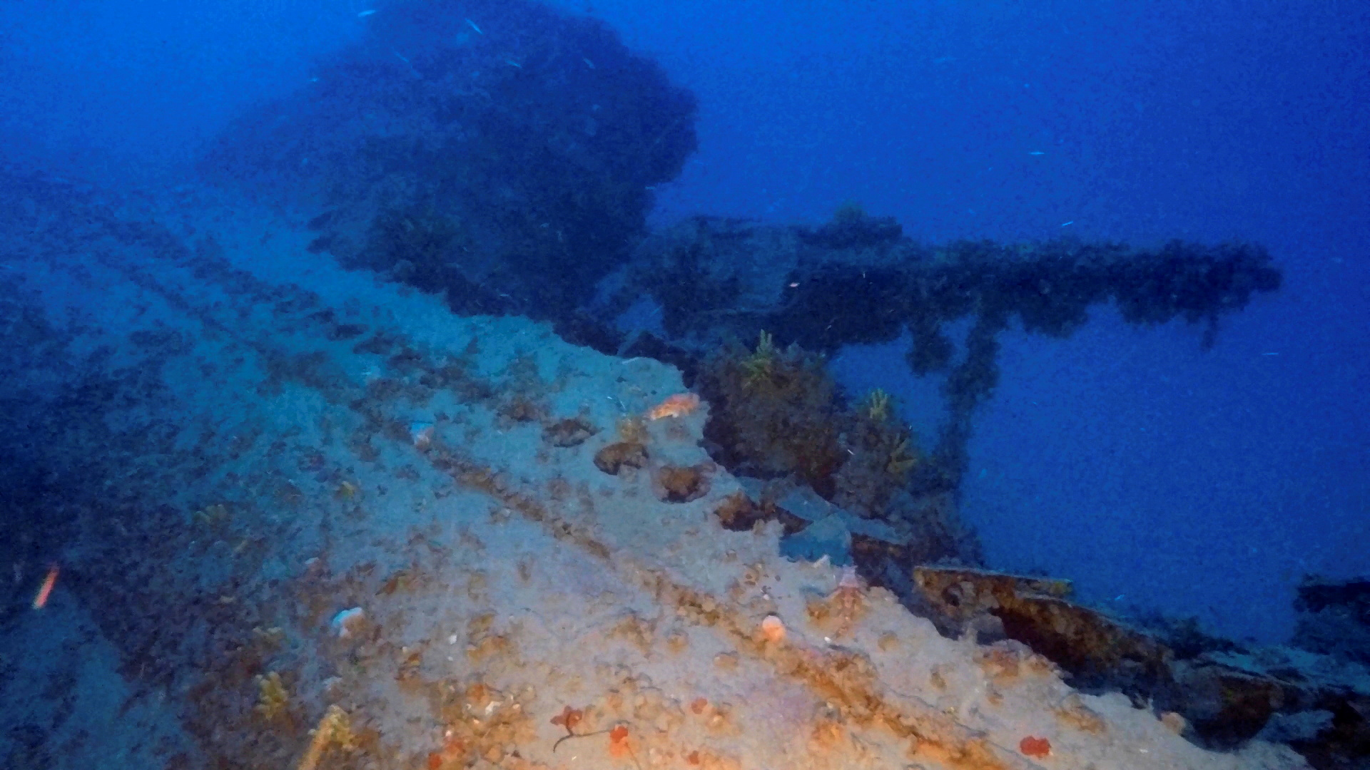 Greek divers discover Italian World War Two submarine wreck