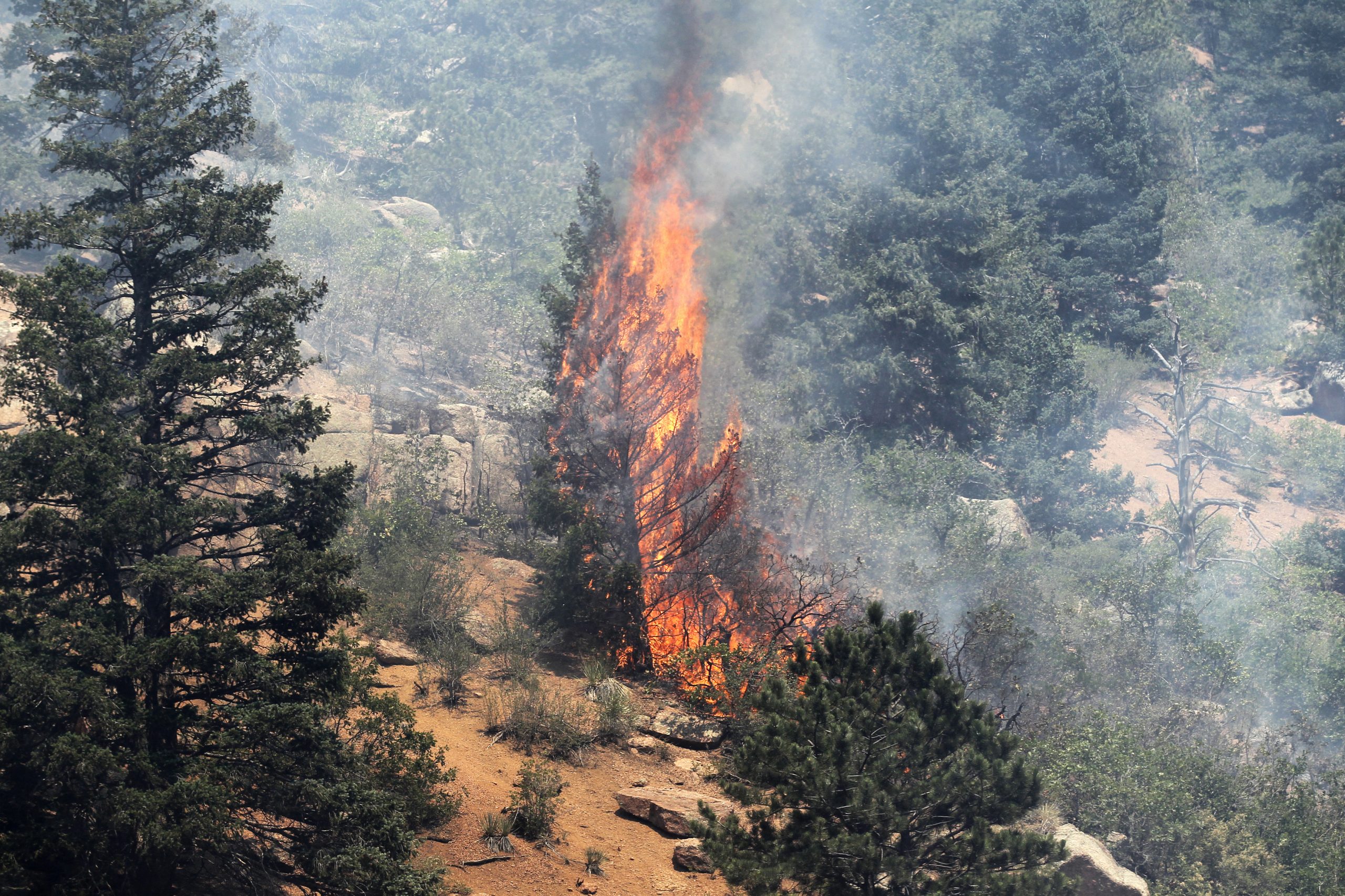 The Forest Service implements new strategy in response to wildfire crisis