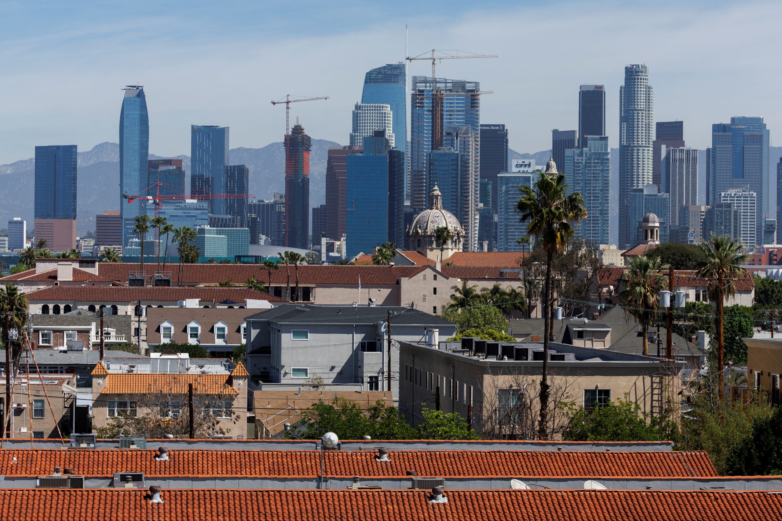 LA court rules state corporate diversity law unconstitutional