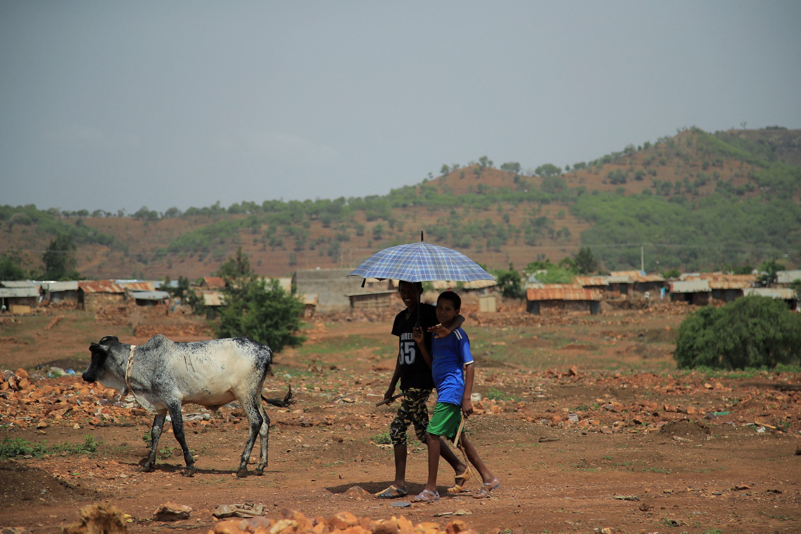 Rights groups accuse Ethiopian officials of genocide, US calls for peace