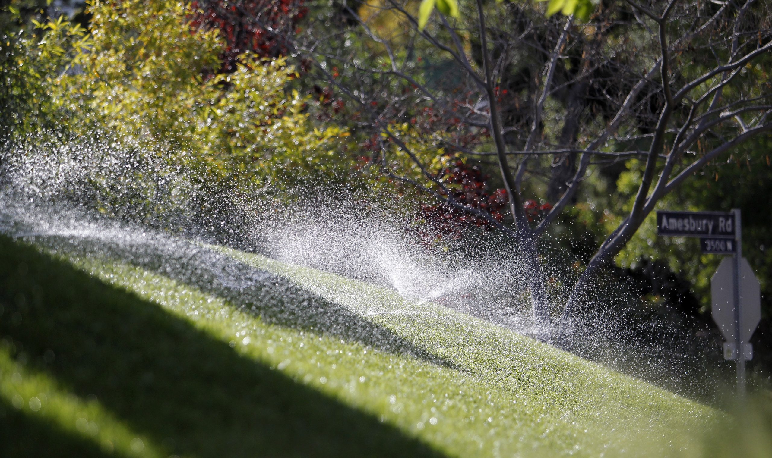 California issues unprecedented water restrictions