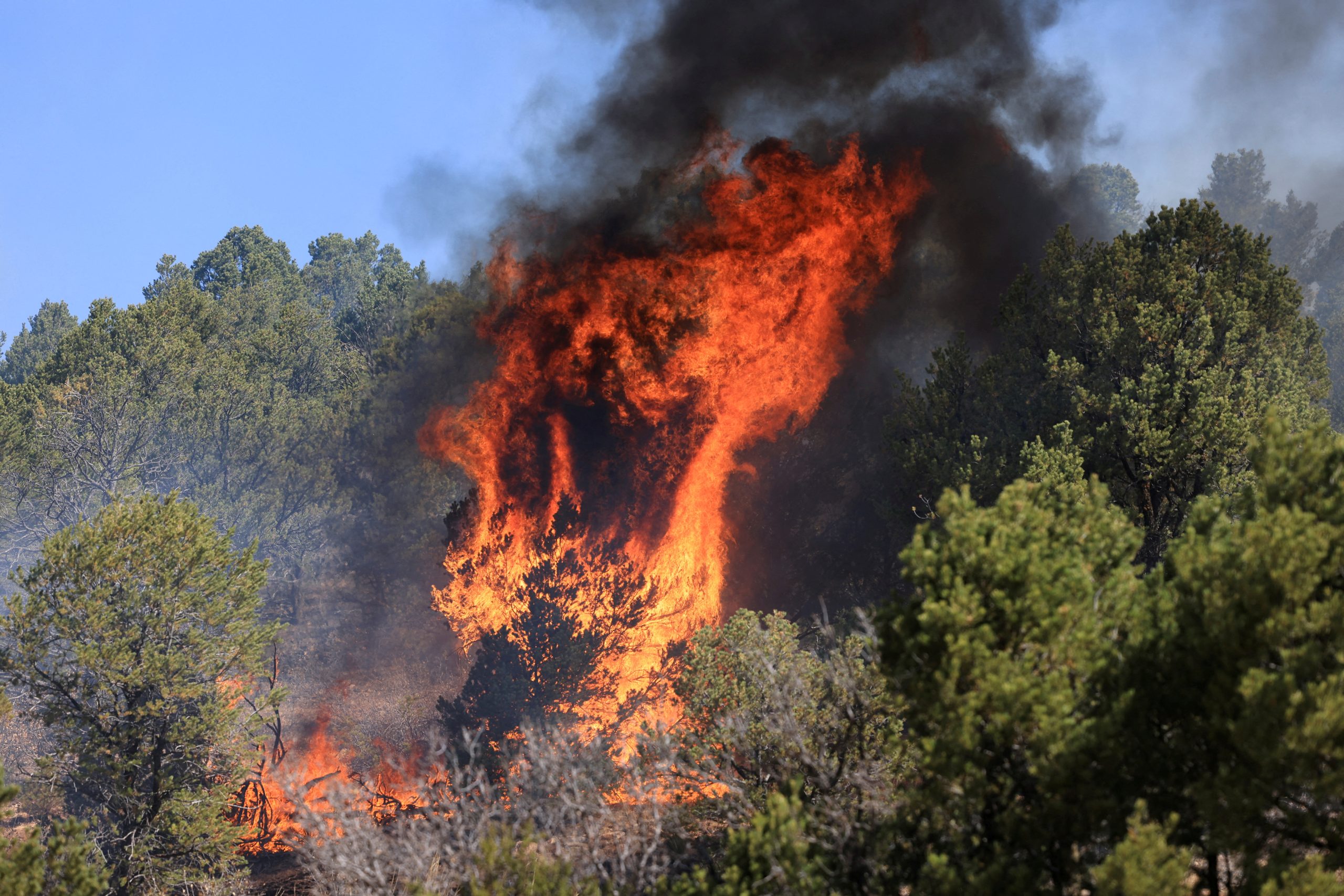 Forest Service says it was cause of record New Mexico wildfire