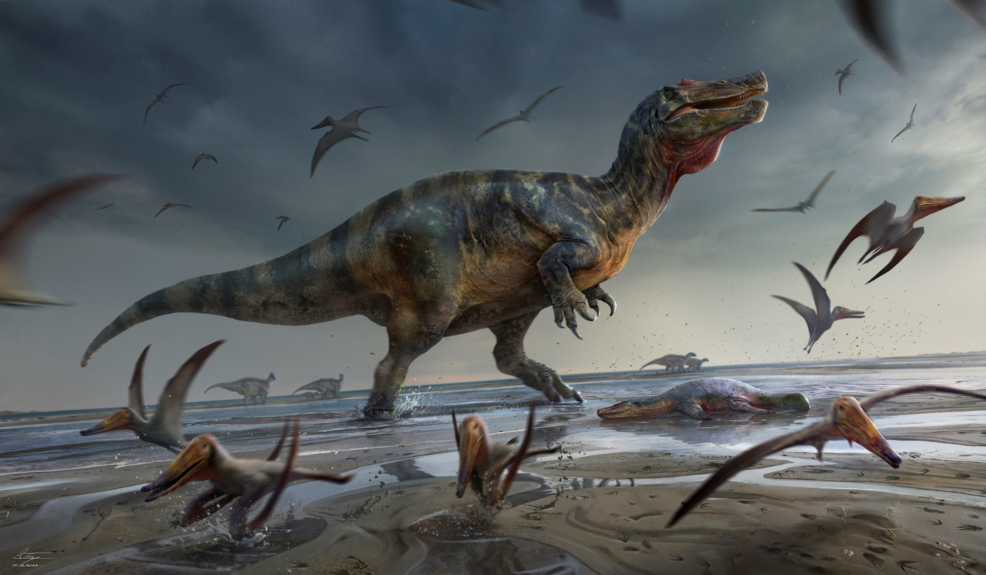 Paleontologists may have found Europe’s largest meat-eating dinosaur