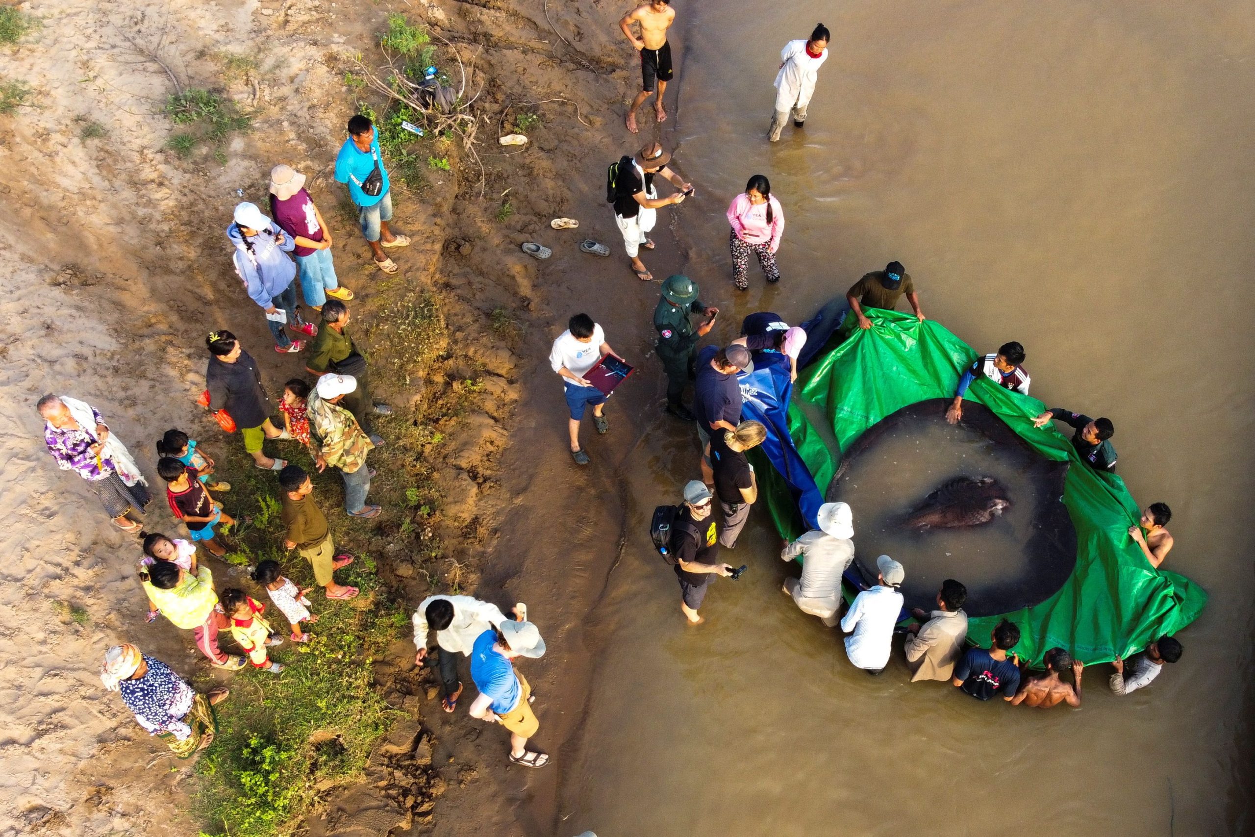 Cambodian villagers land record freshwater fish