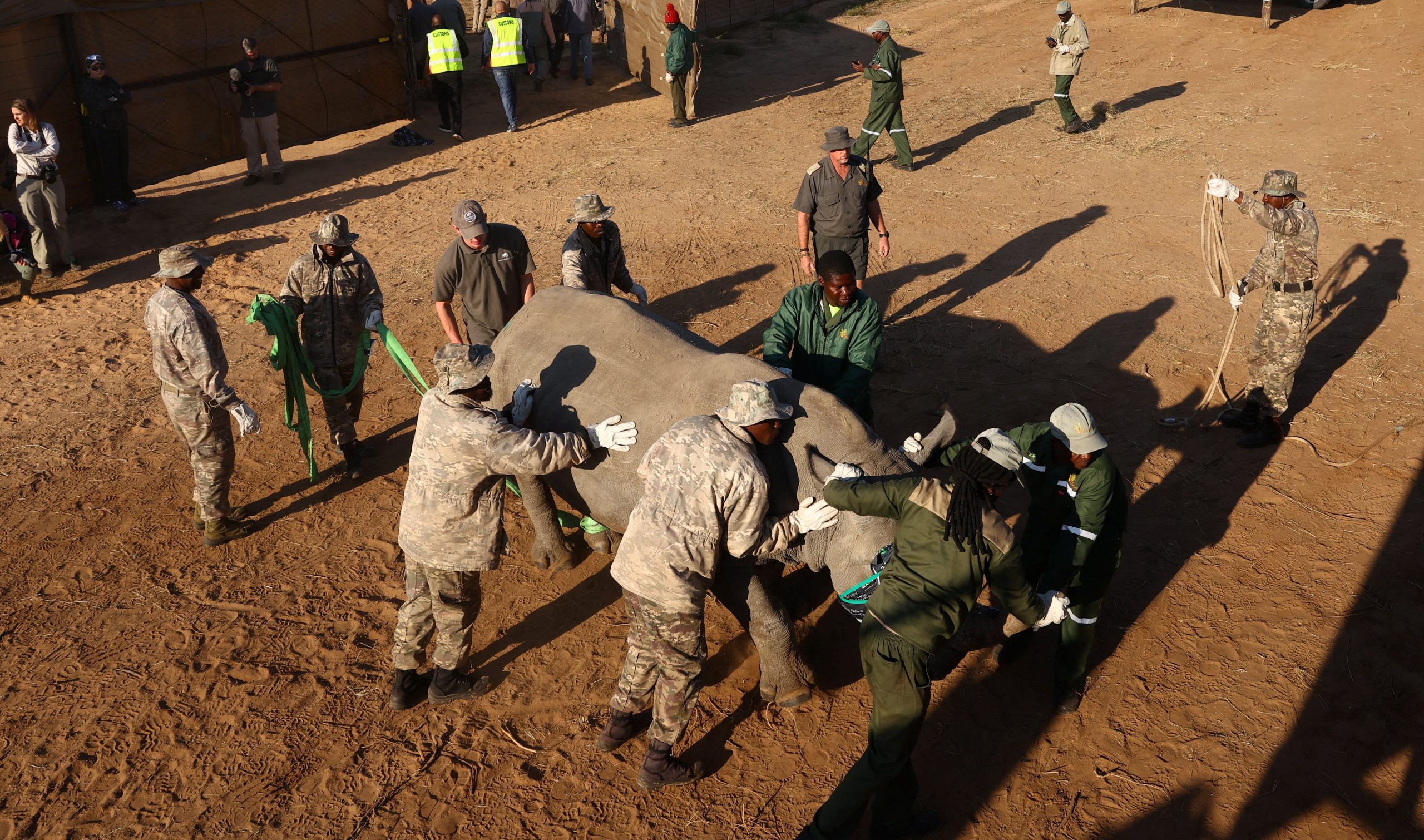 After 40 years of extinction, rhinos return to Mozambique