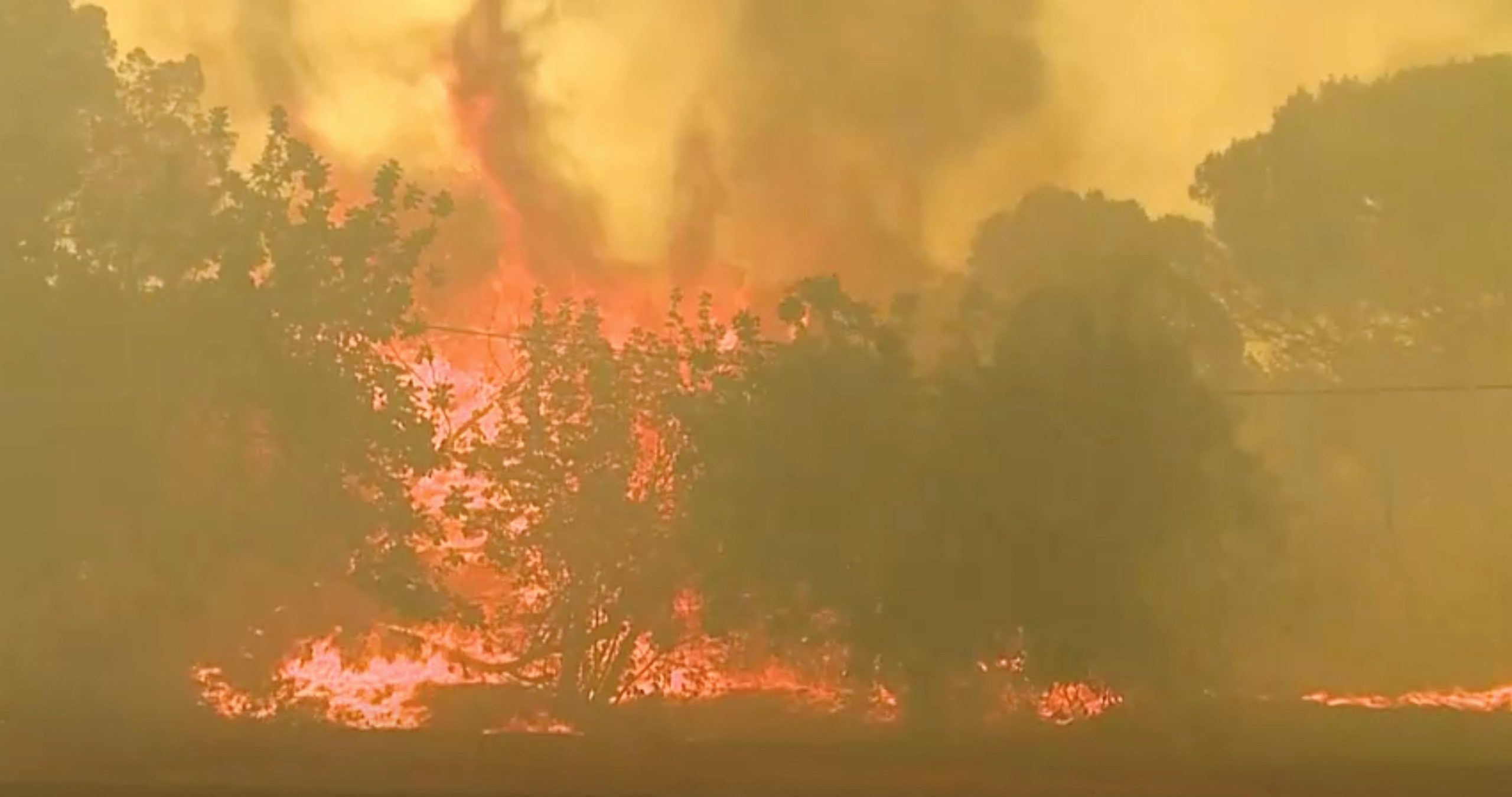 European heat wave sparks wildfires across multiple countries