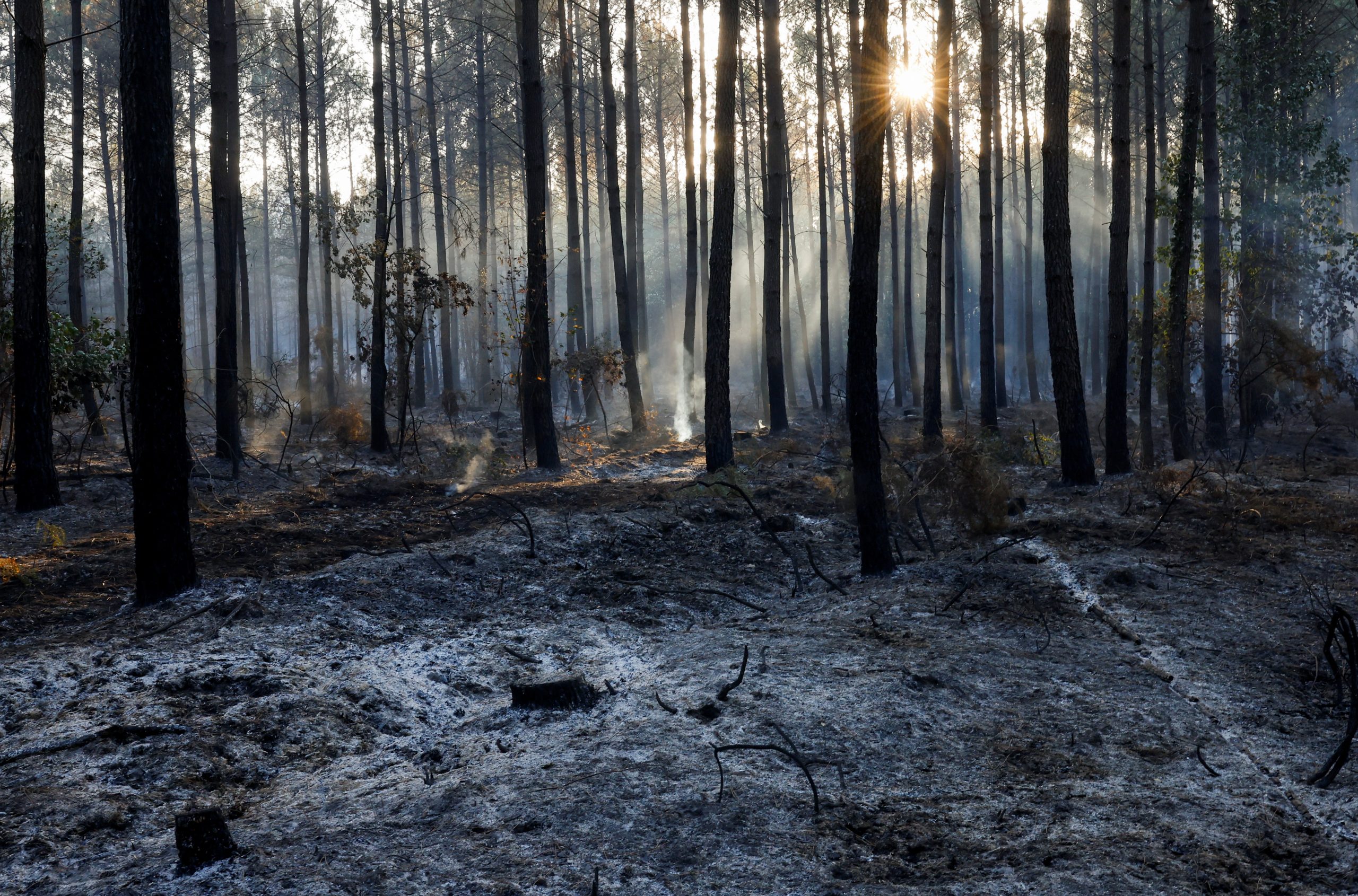 France halts spread of “monster” wildfire, reopens highway