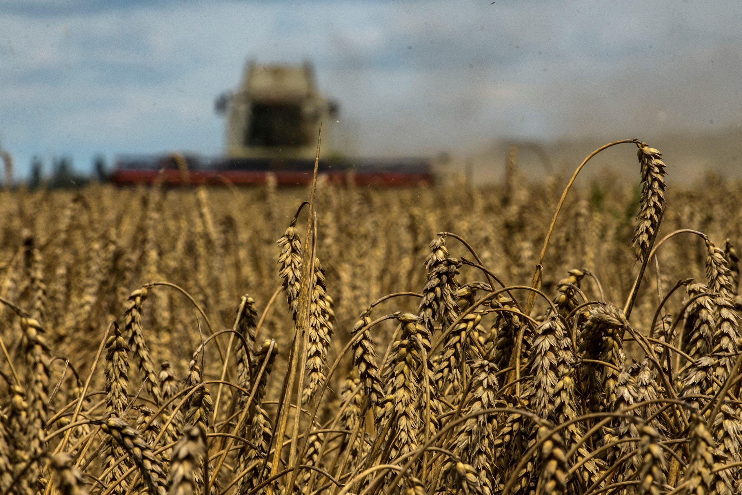 Ukraine update: US to buy $68 mil worth of grain from Ukraine; Crimean attacks highlight Ukraine offensive