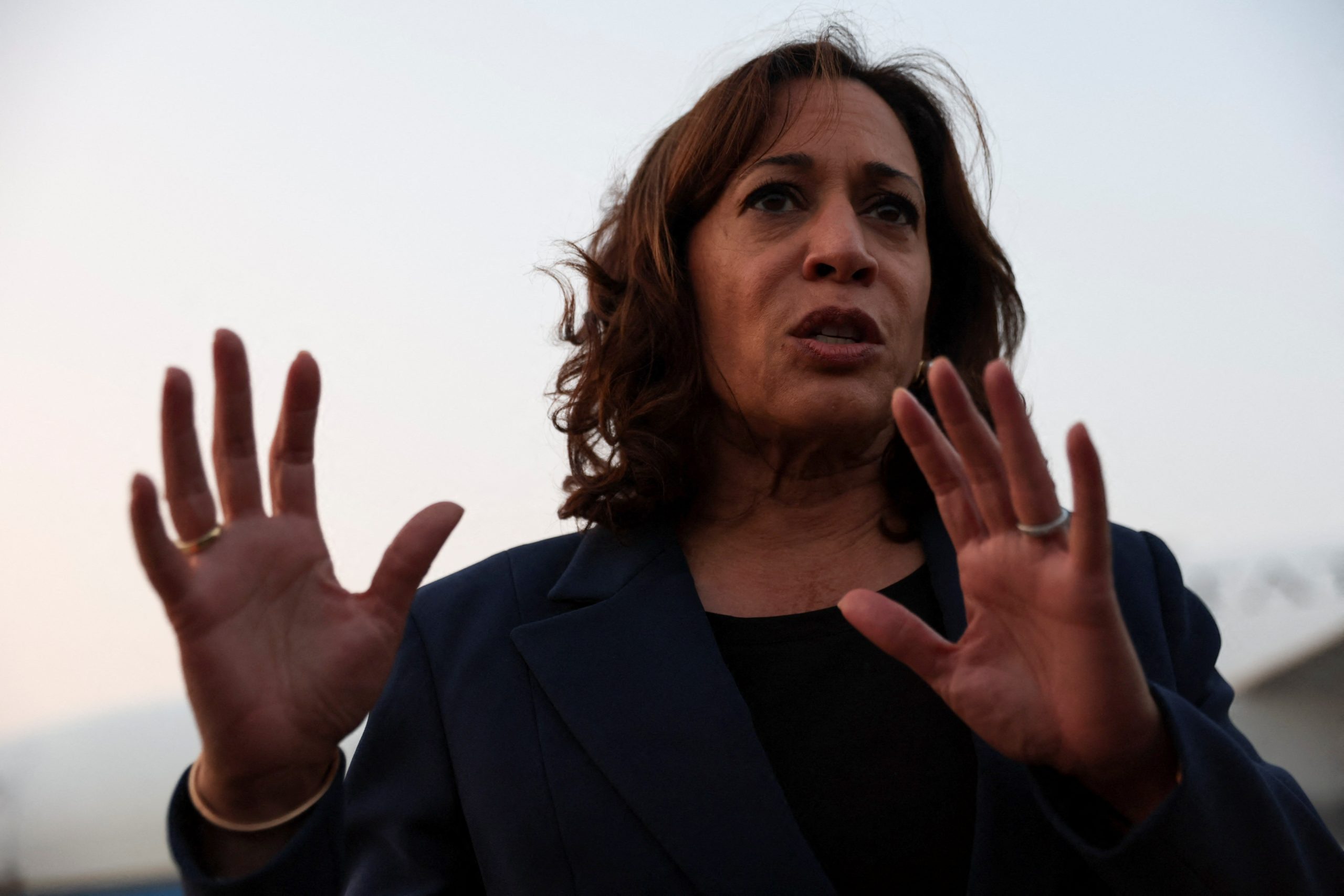 VP Harris to visit Texas for campaign with no mention of border visit