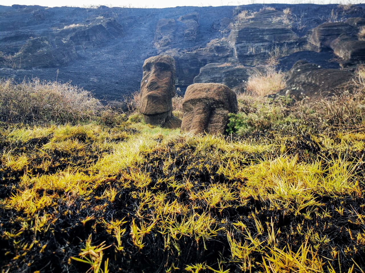 Famed Easter Island Statues suffer irreversible damage in wildfire