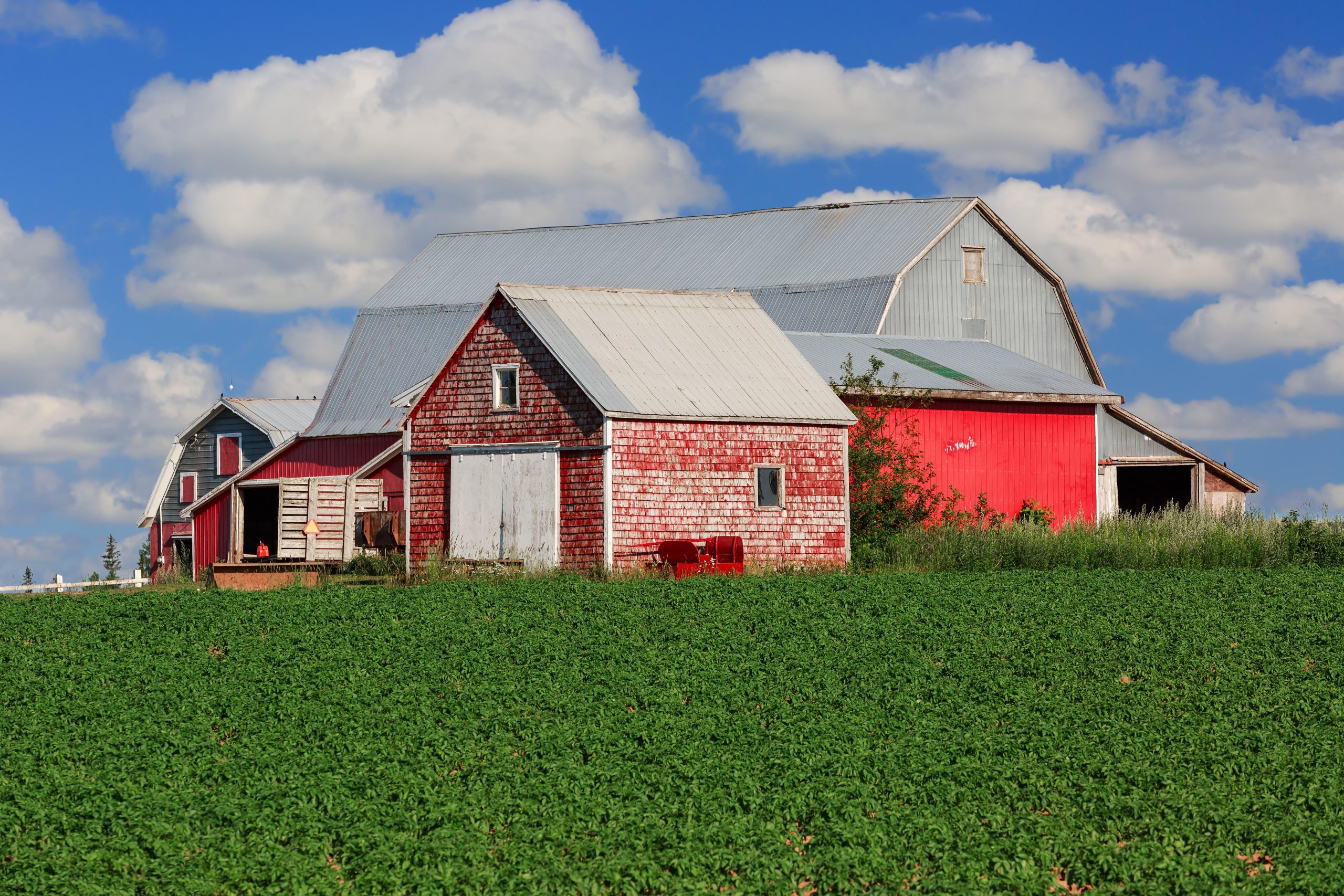 Inflation leaves the average rural family with an annual $5,426 expendable income