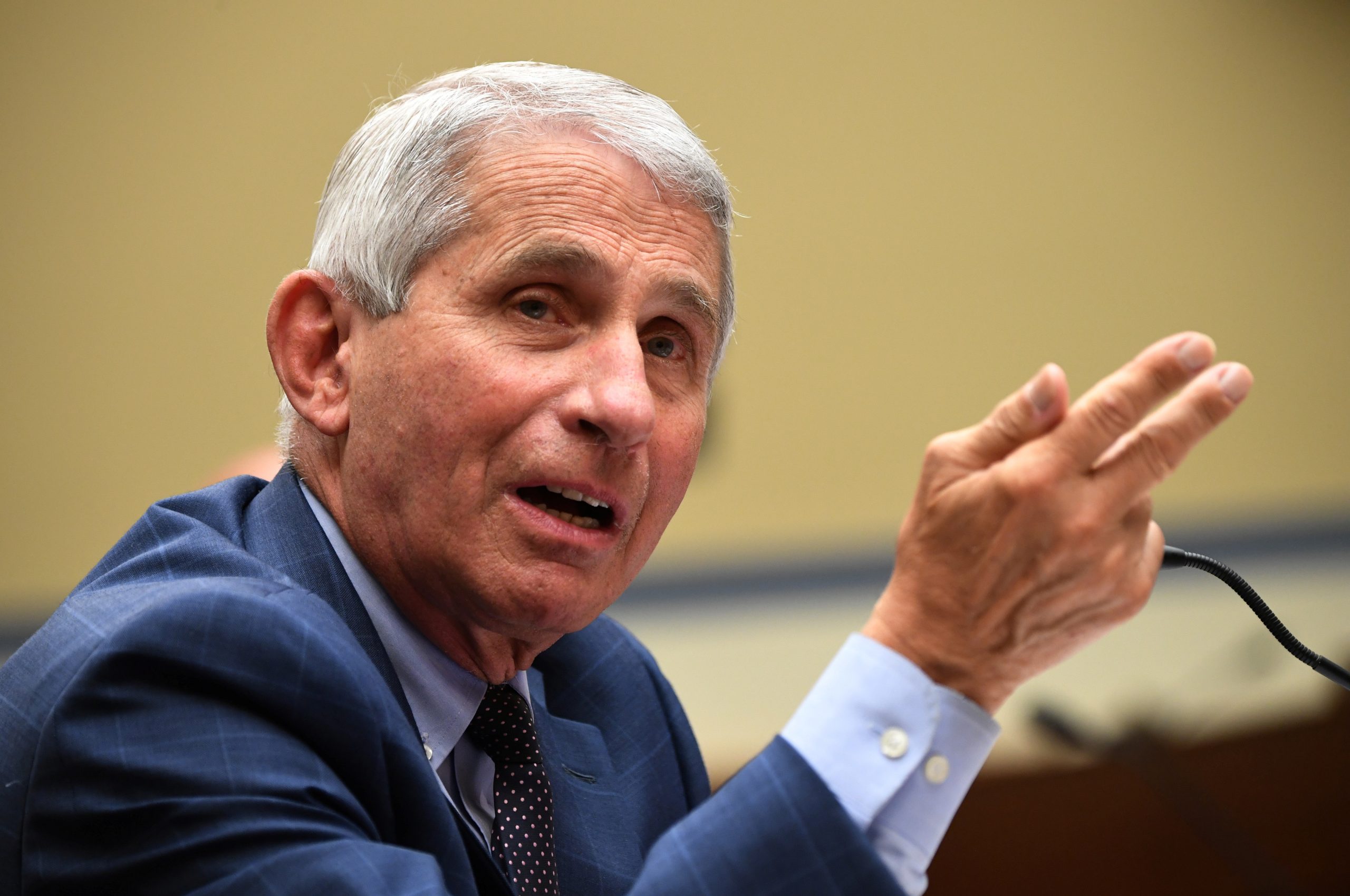 Dr. Fauci Says There’s ‘No Reason’ Americans Can’t Vote in Person