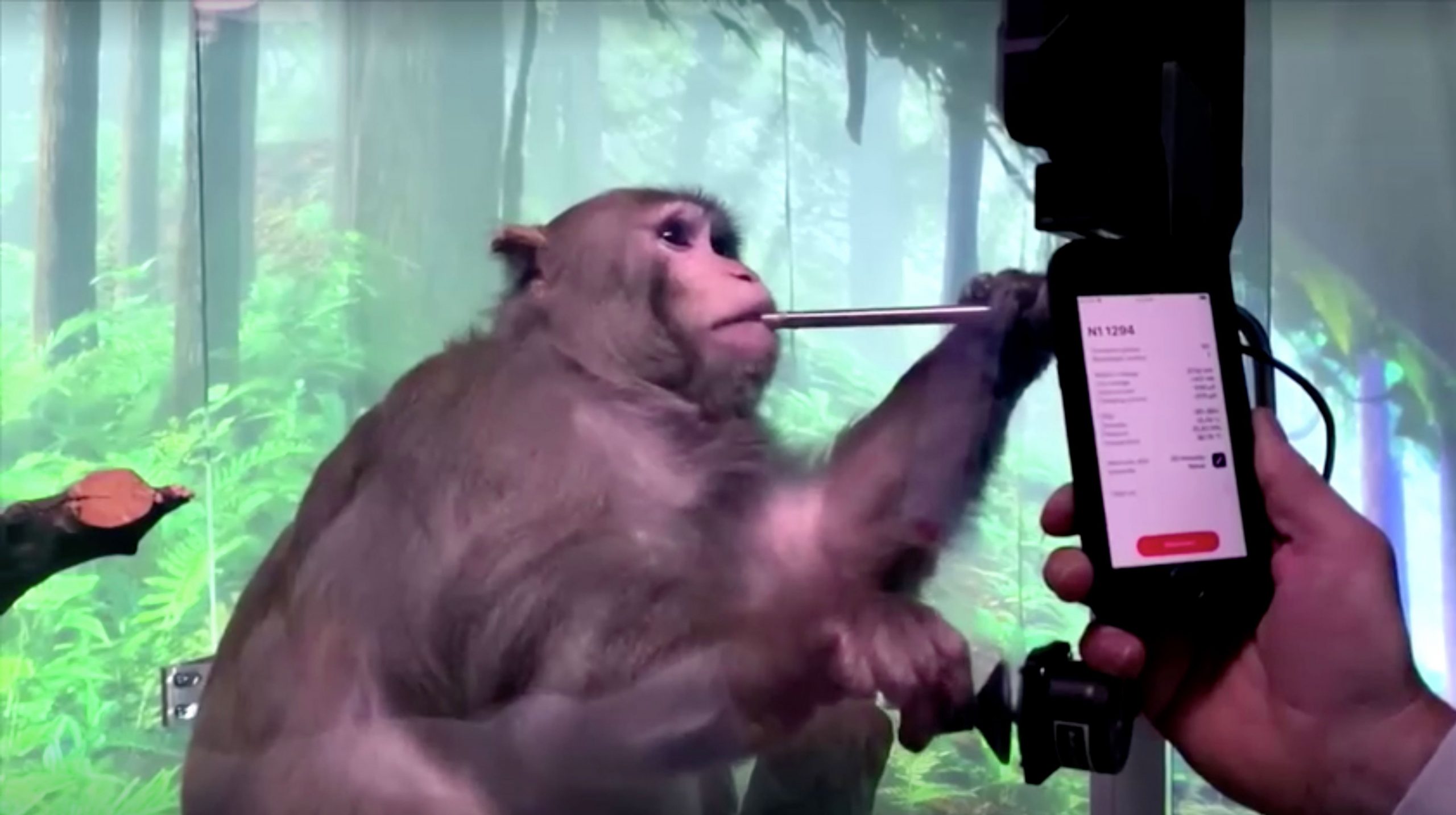 Elon Musk’s Neuralink Shows Monkey With Brain-Chip Playing Video Game By Thinking