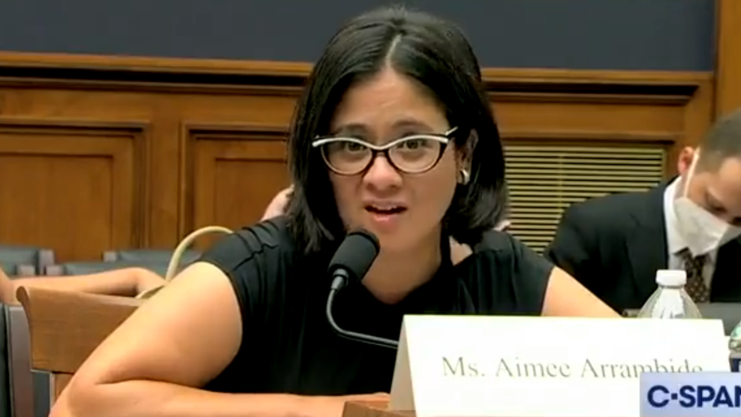 Pro-abortion witnesses espouse extreme views during House Judiciary hearing