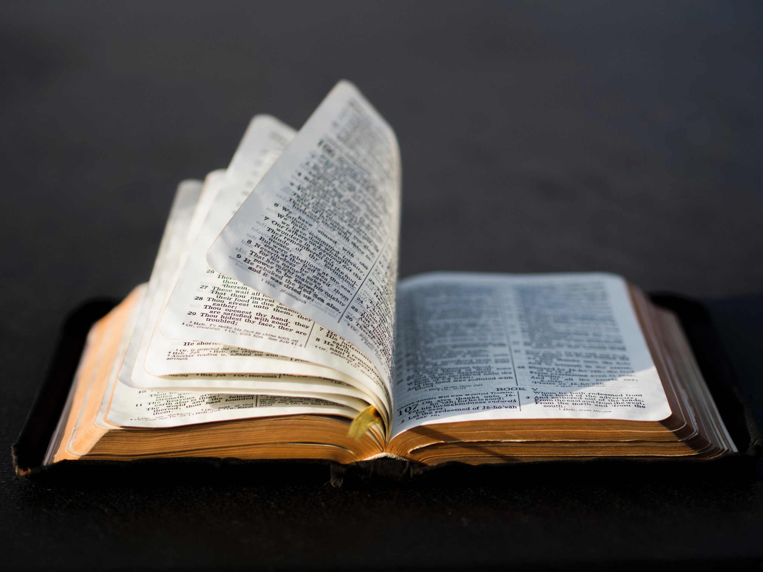 Tennessee lawmakers vote to make the Bible ‘the official State book’