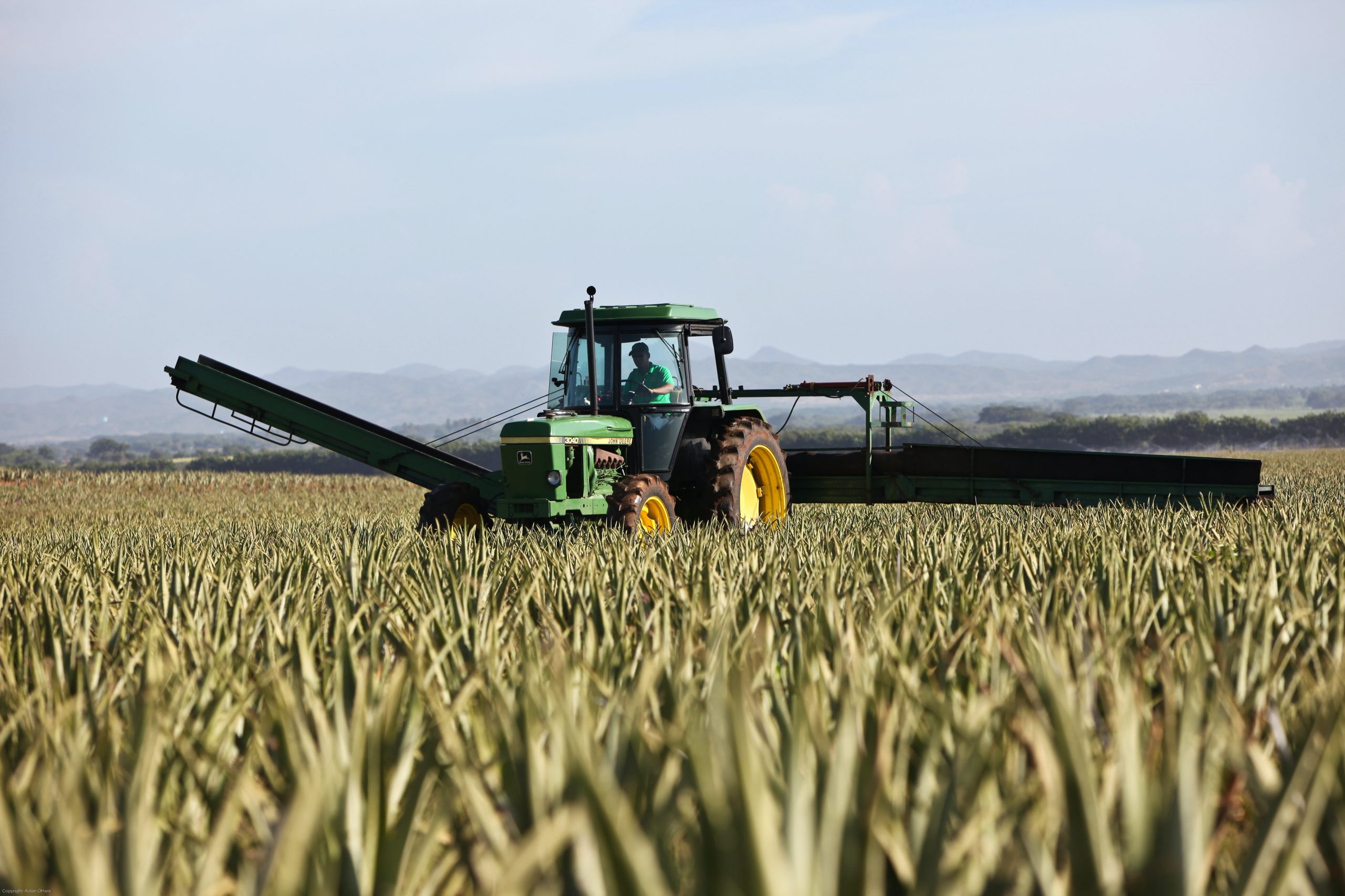 Farmers Afflicted with Historic Drought Amidst Rising Food Prices