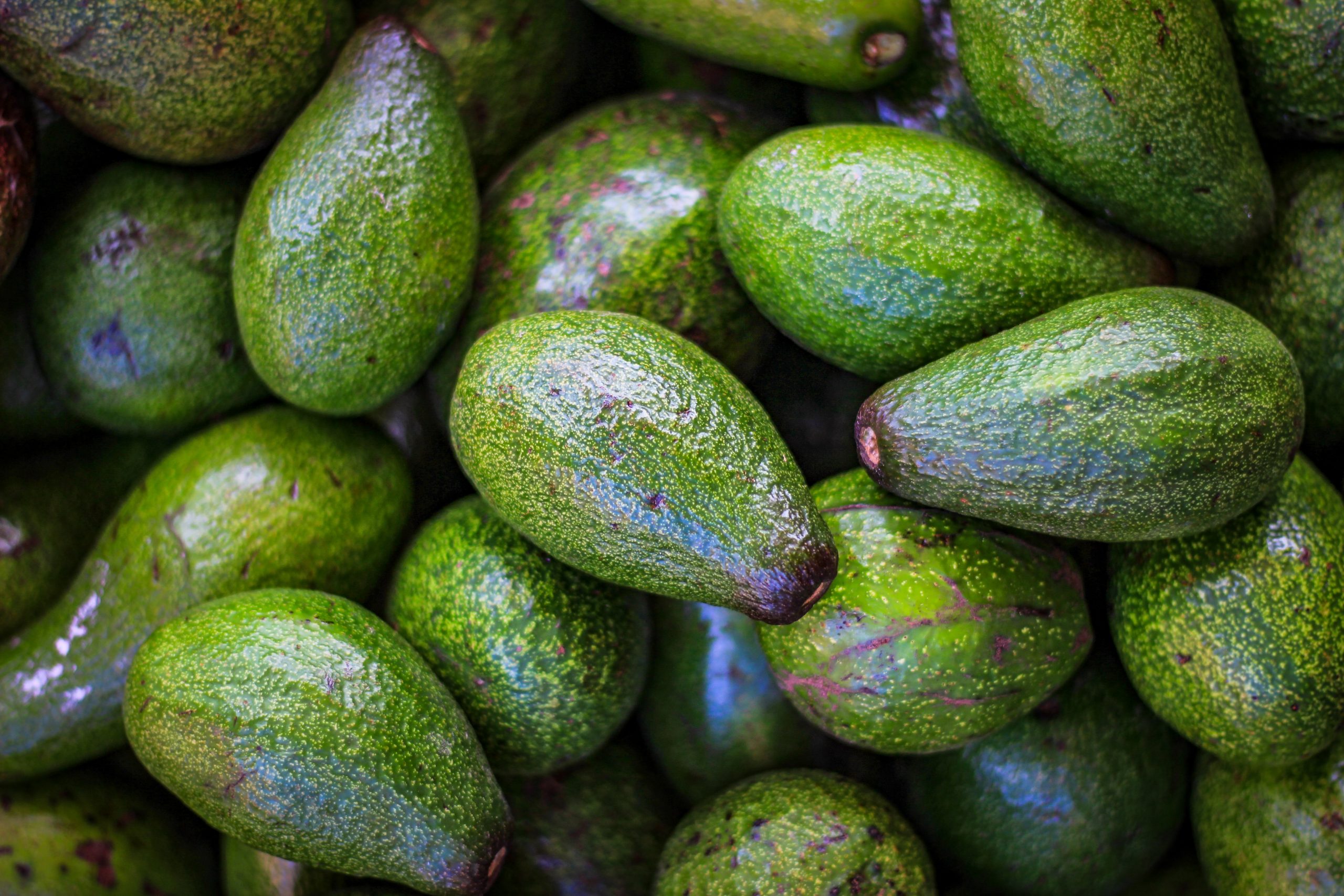 U.S. will immediately resume Mexican avocado imports, USDA says