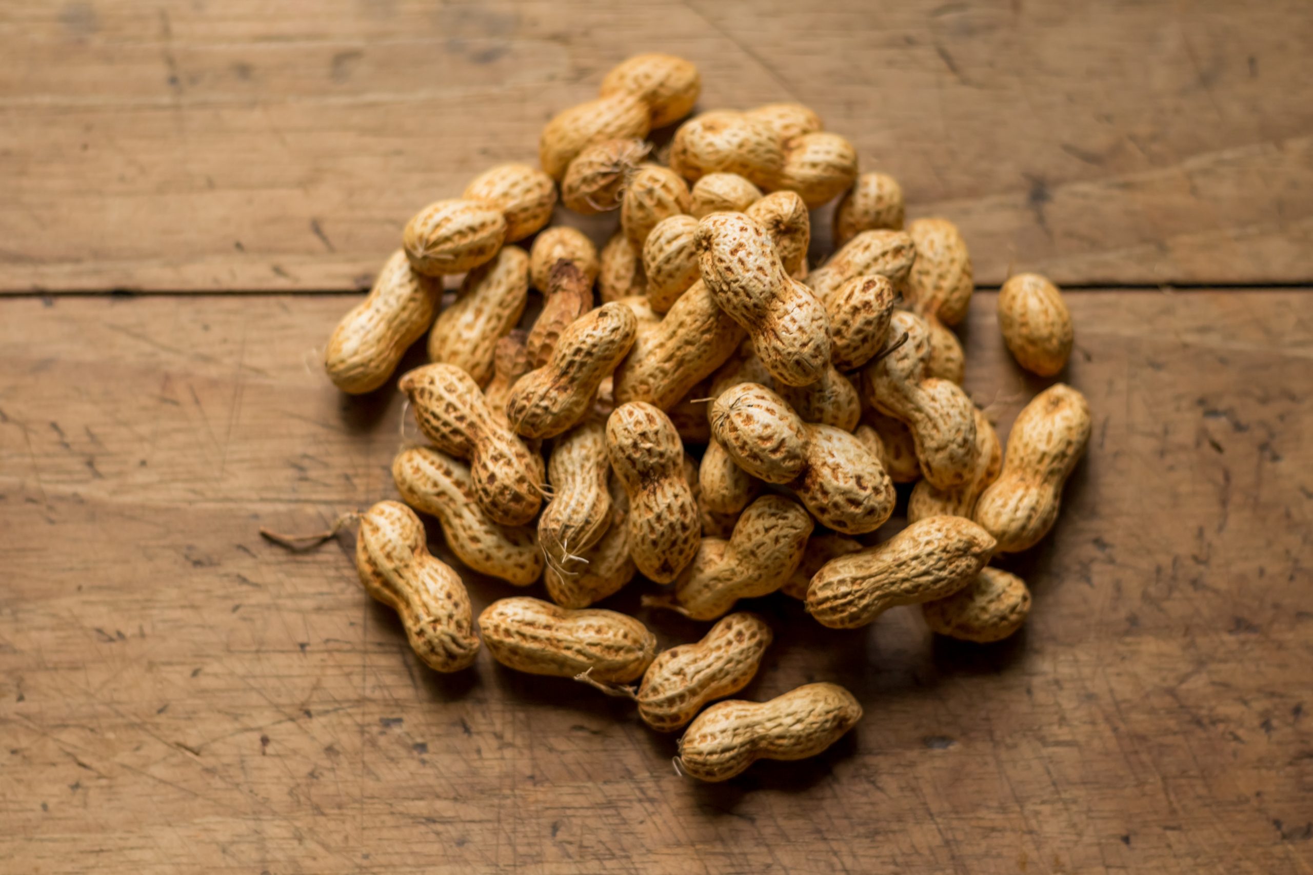 Study shows immunotherapy may treat peanut allergies