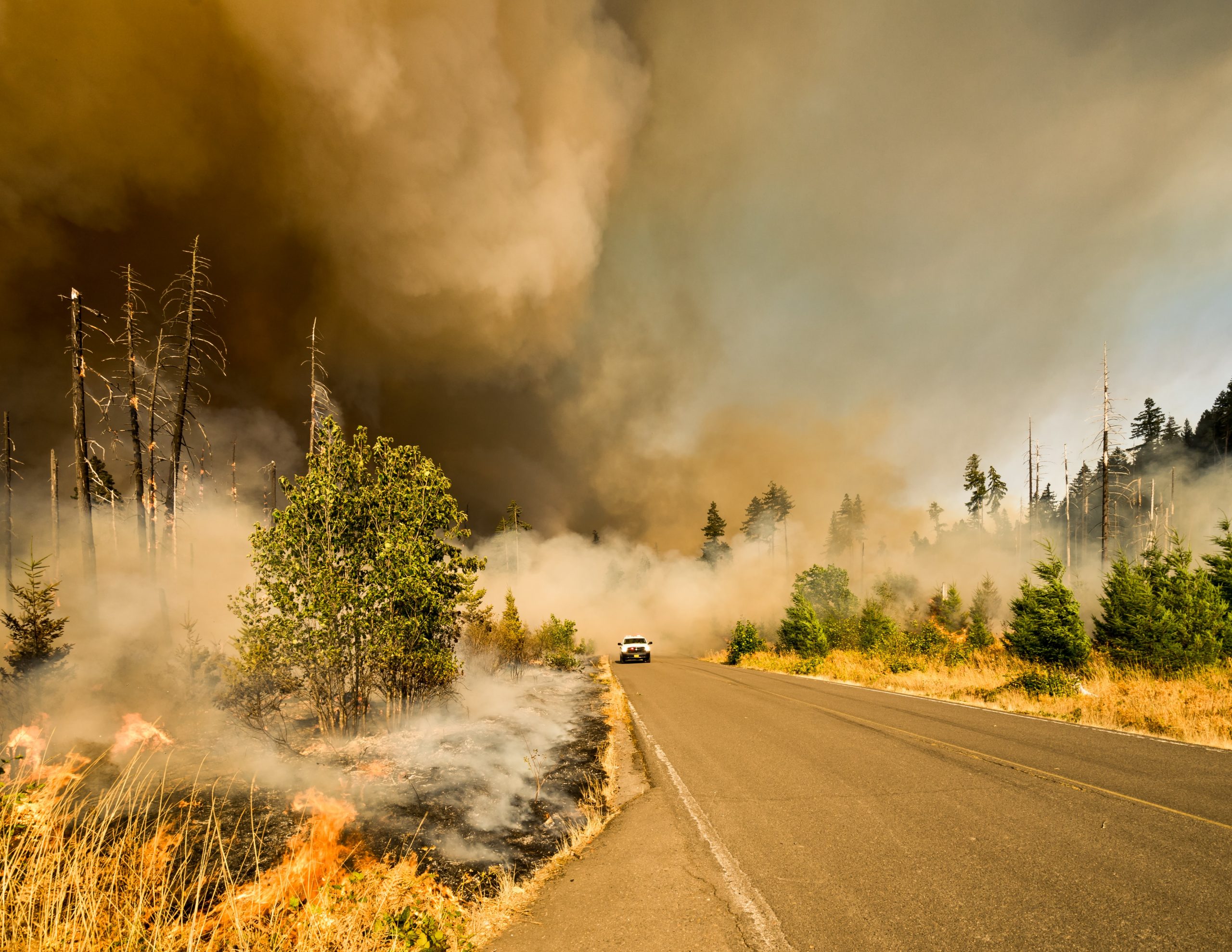 Wildfires Rage as Record Temps Continue Throughout the West