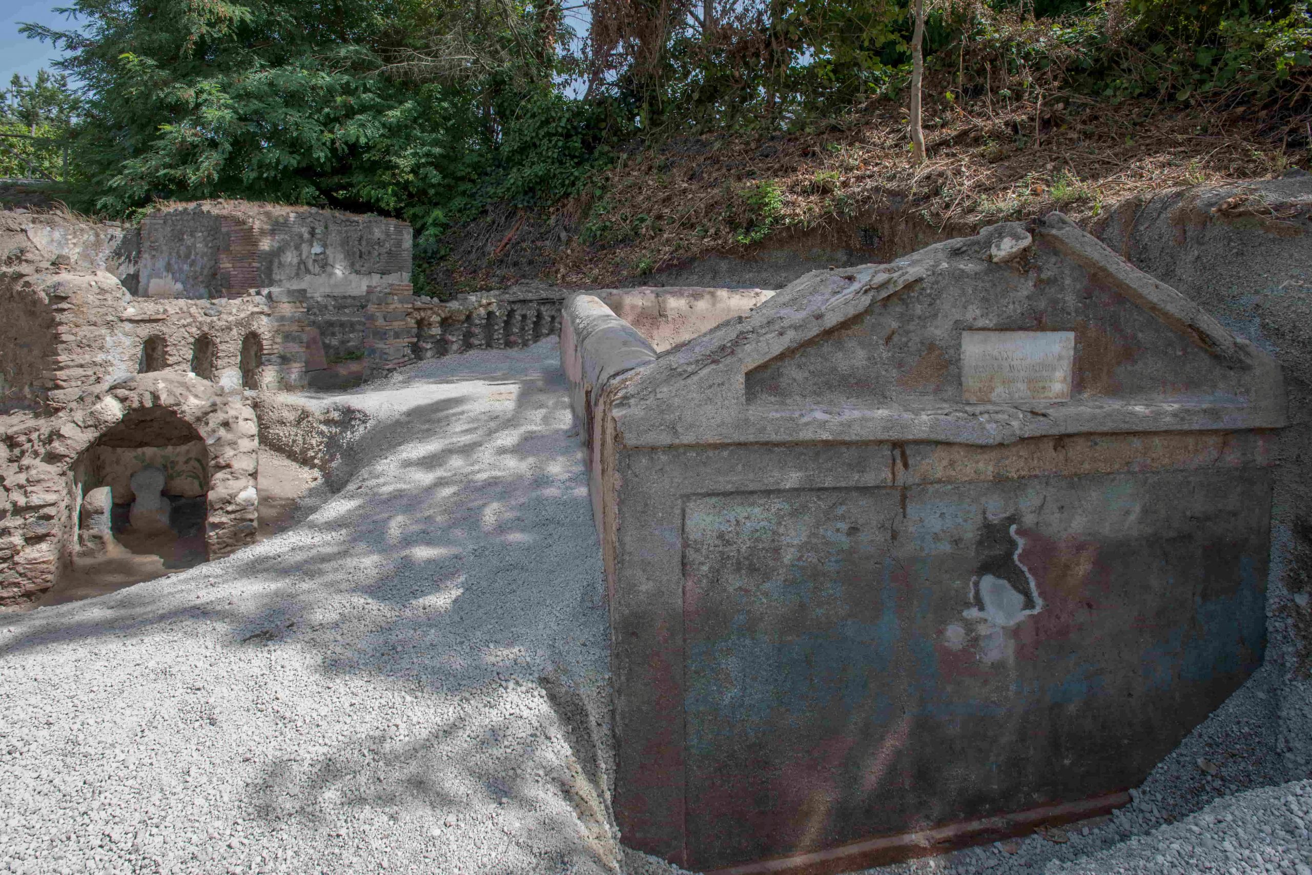 Well-Preserved Skeleton Sheds Light on Culture in Ancient Pompeii