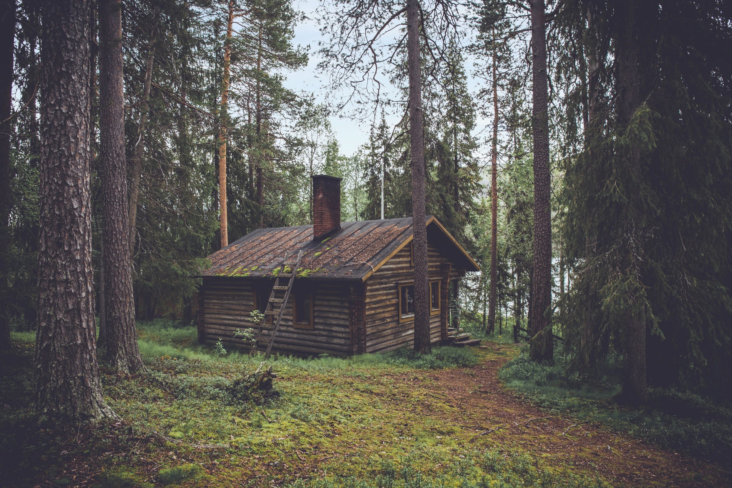 Tech CEO Gives $180,000 To Help Hermit Build House