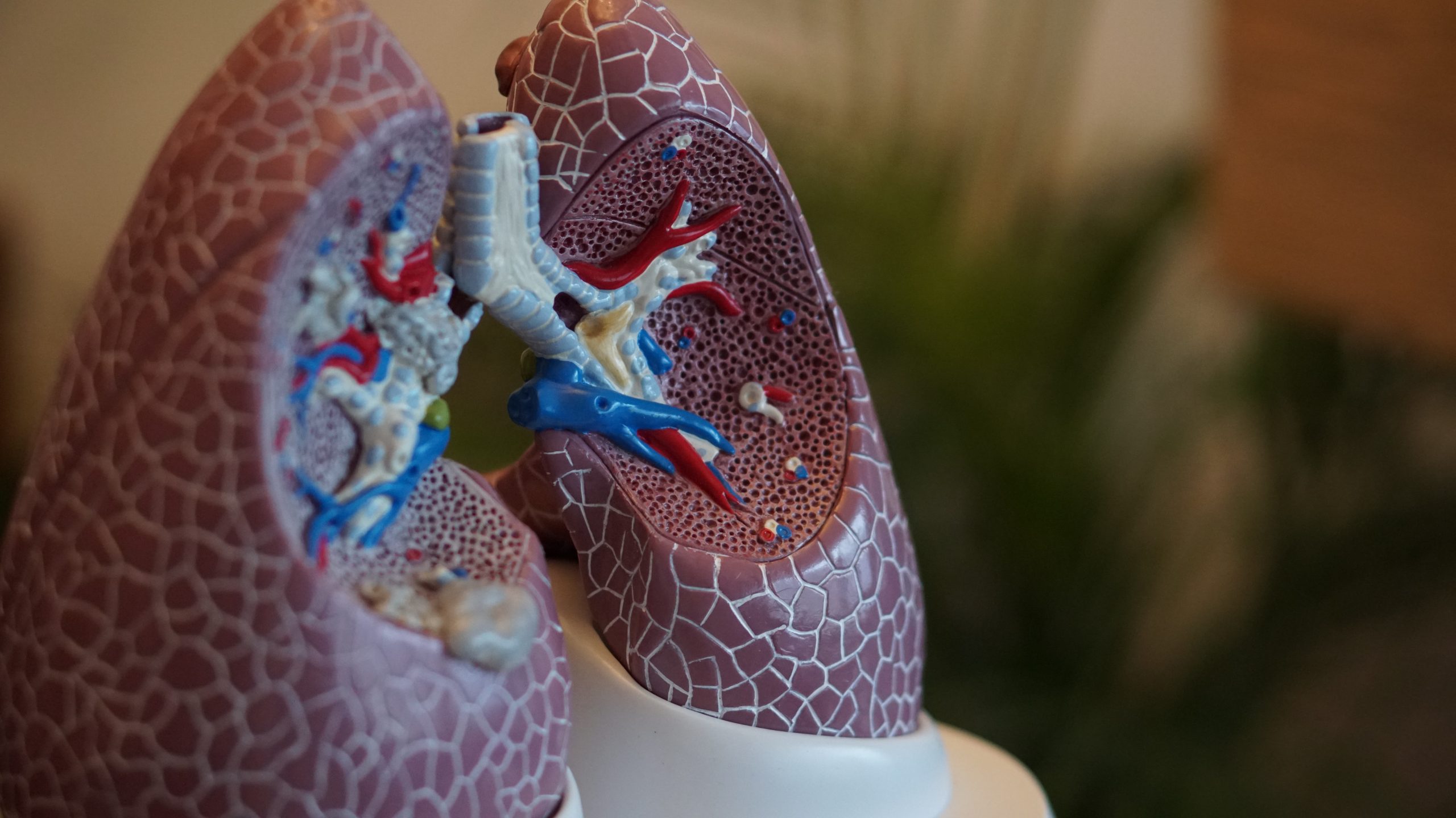 Study Shows That AI Can Find and Diagnose COVID-19 In A Person’s Lungs