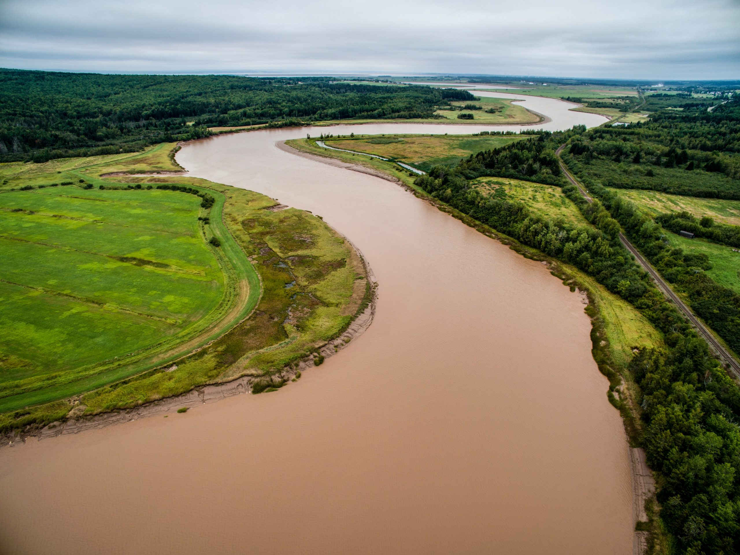 Scientists develop a breakthrough pill targeting clean water crisis