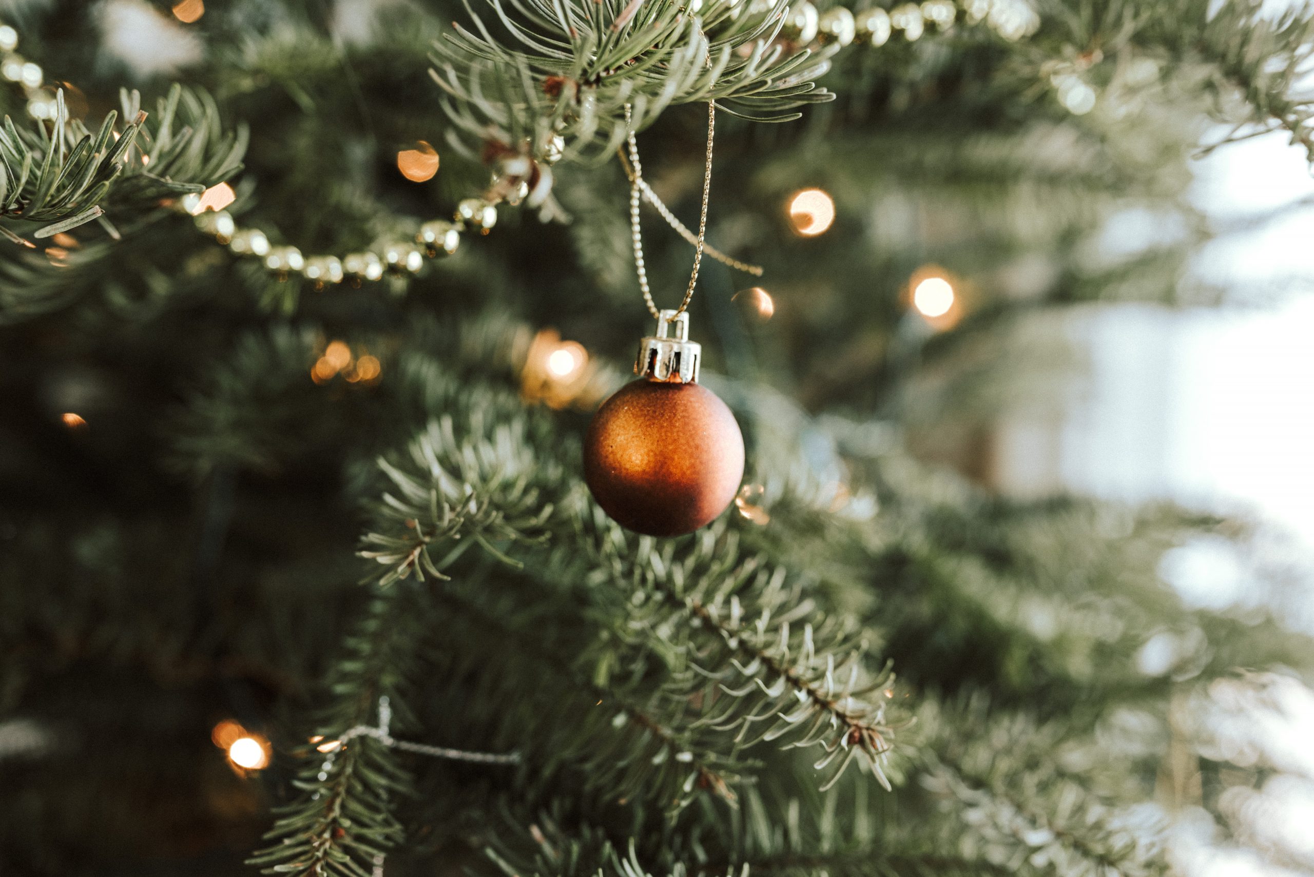 NYC Rockefeller Christmas Tree is up, but remains unlit before Dec 1