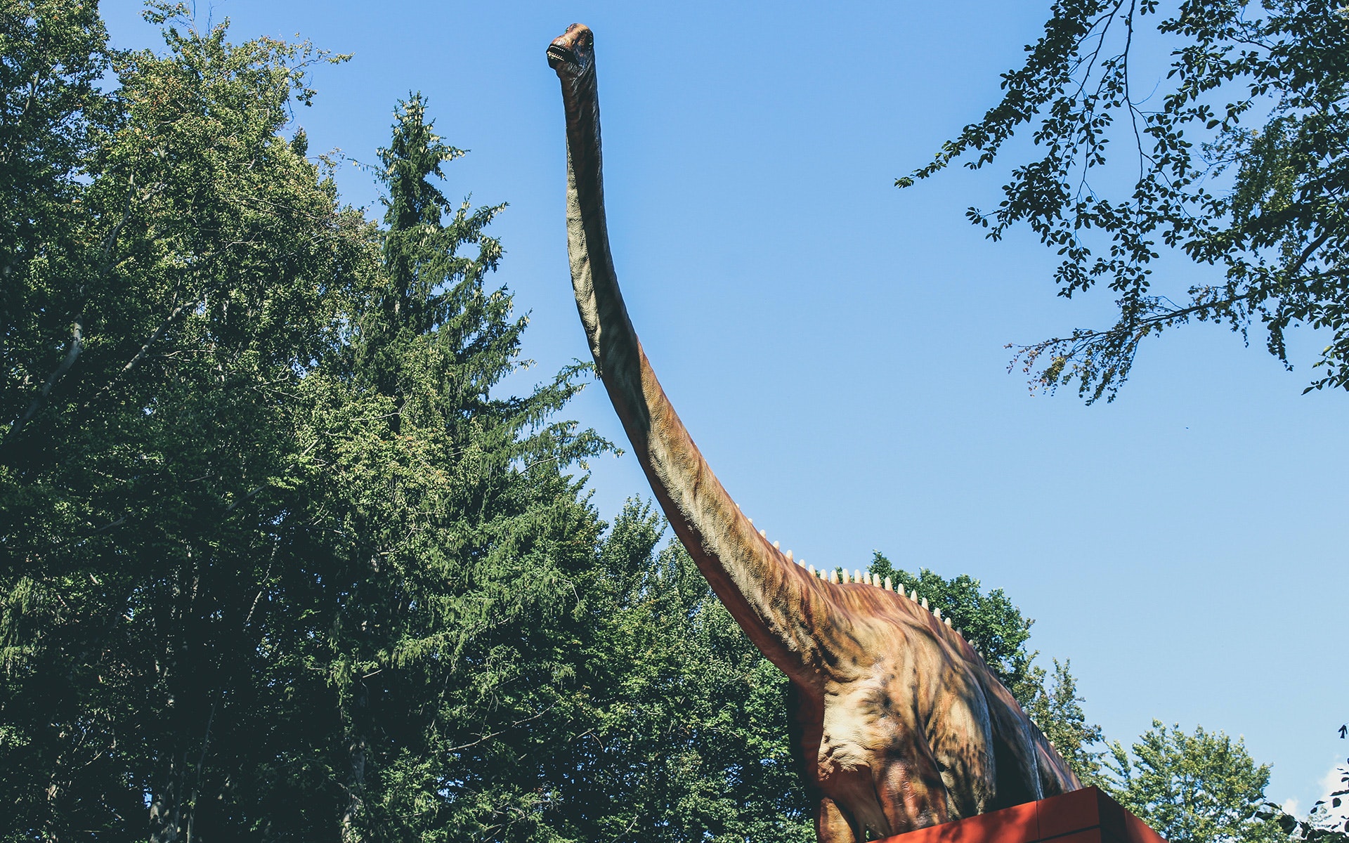 Australia Unearths Fossil of Largest Dinosaur to Walk the Continent