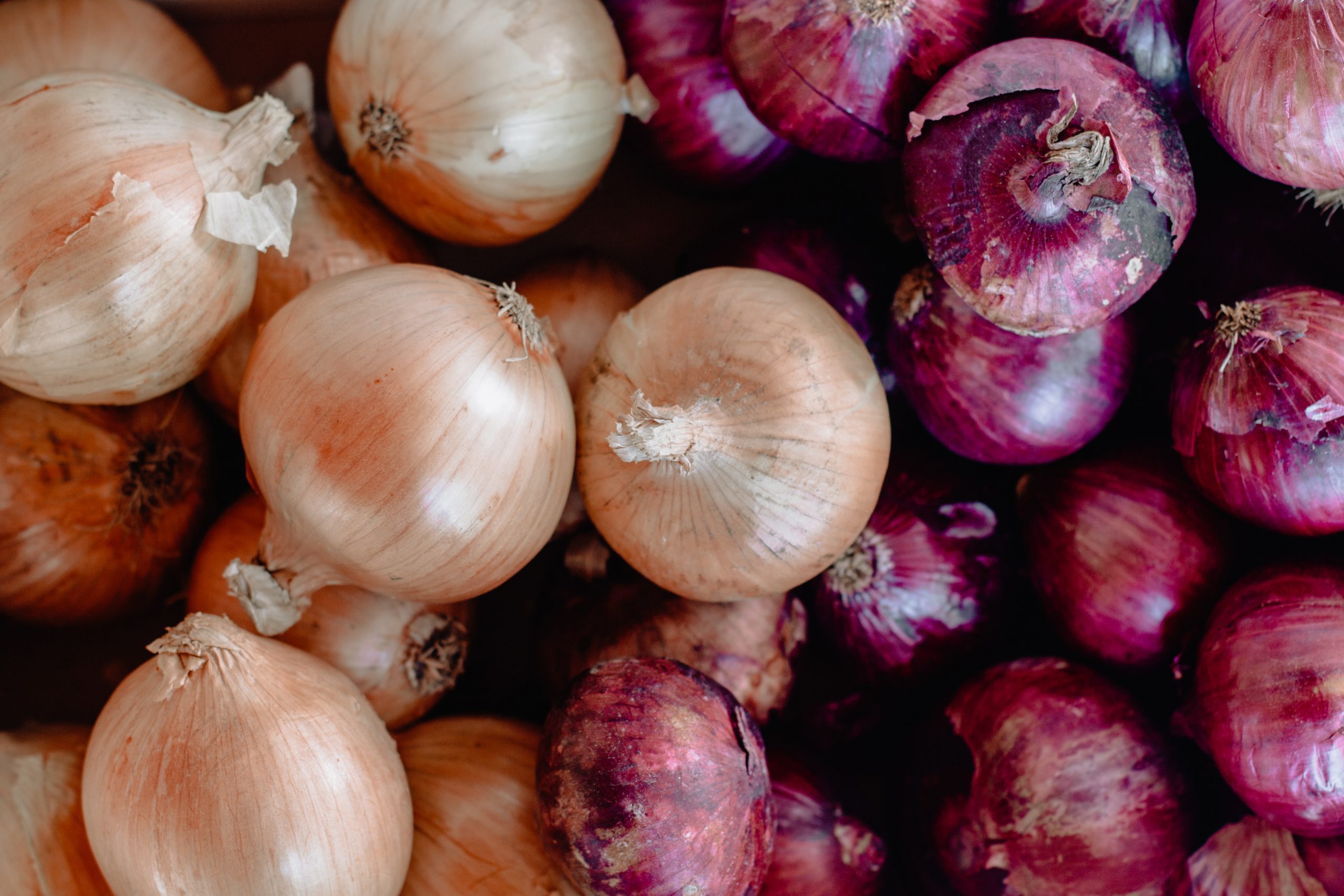 Onions linked to salmonella outbreak in 37 U.S. states prompts recall