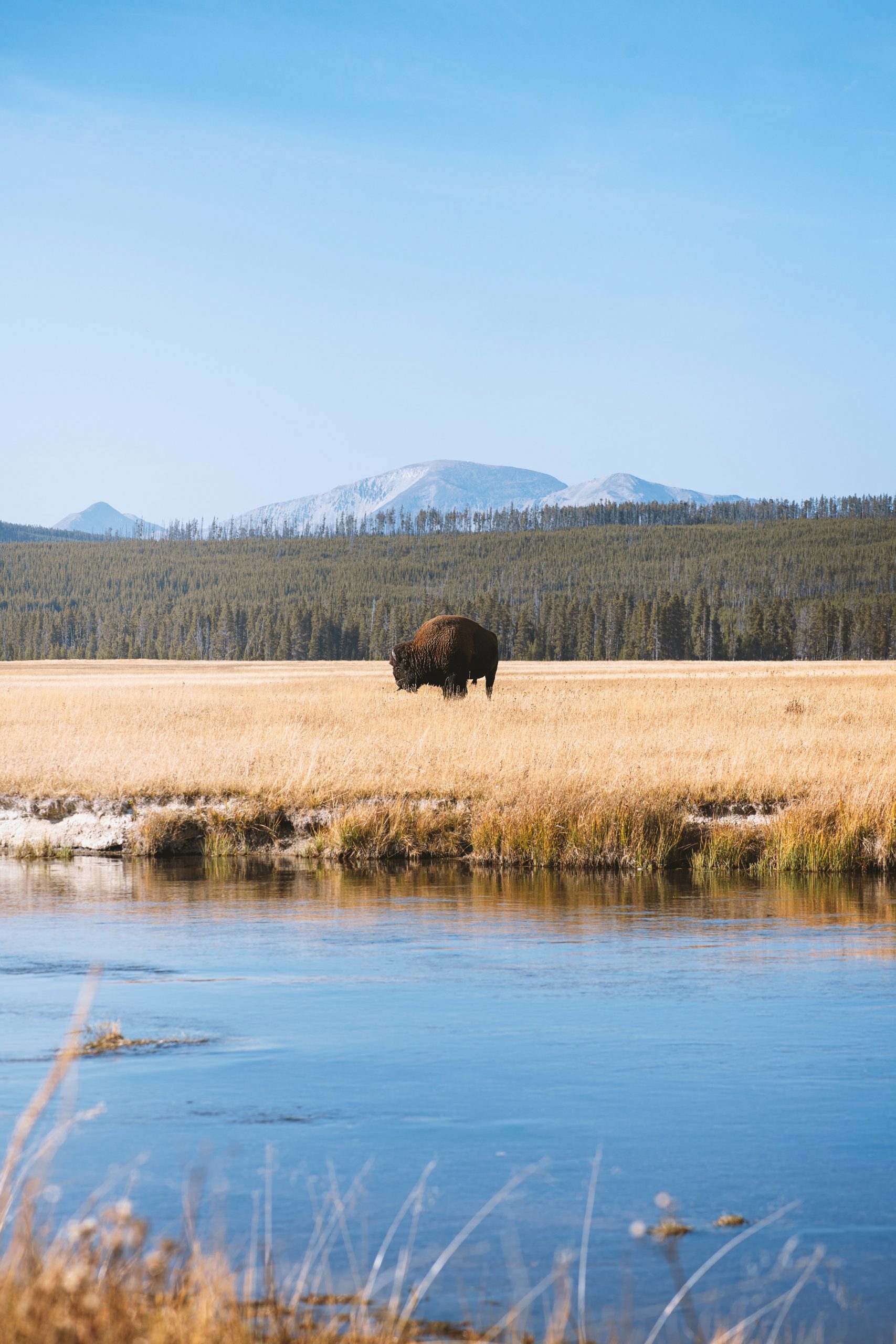 Yellowstone Facing Swarm of Earthquakes