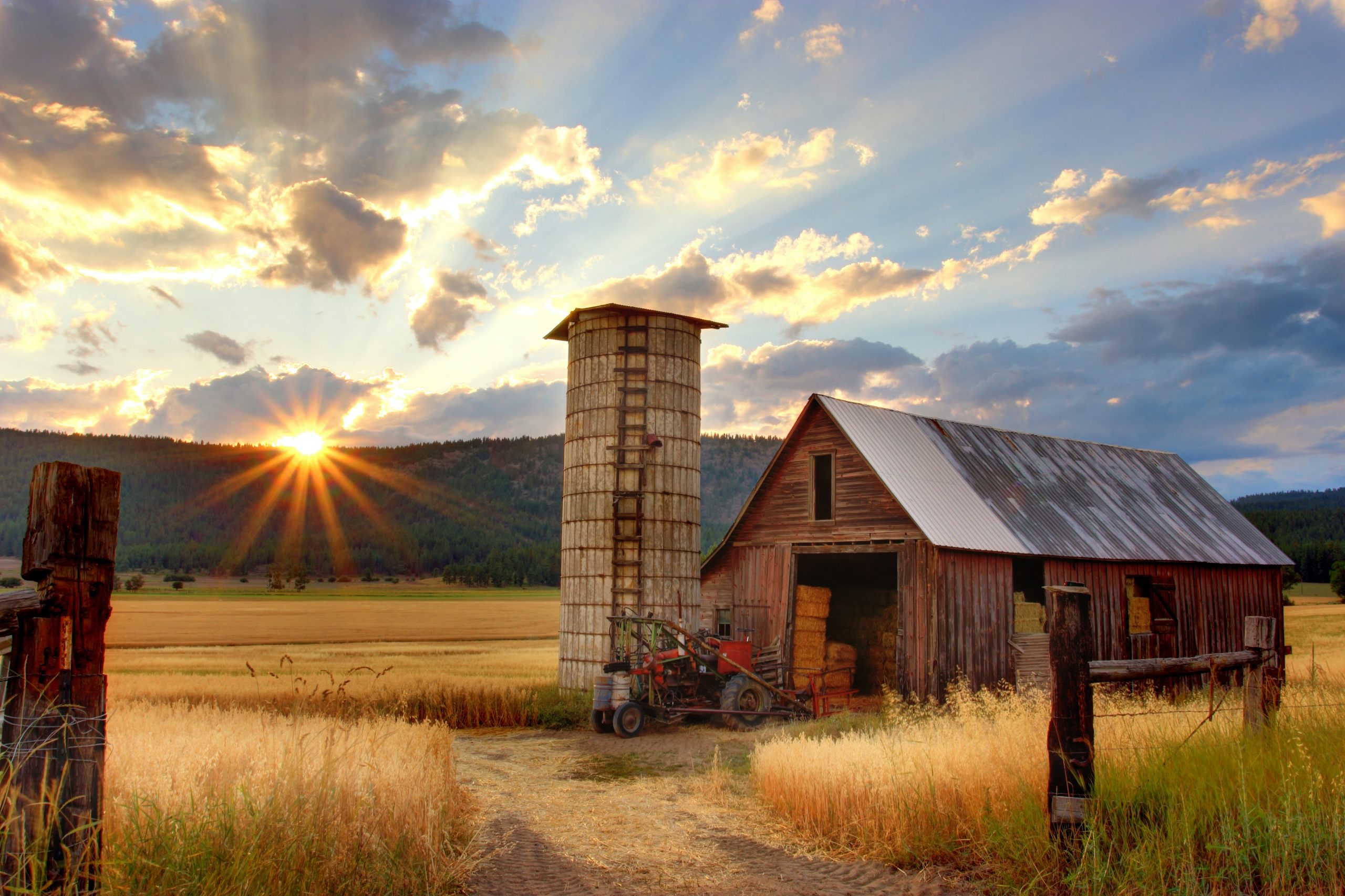 Historic Drought Throughout Midwest and West Could Significantly Impact Food Prices in the US