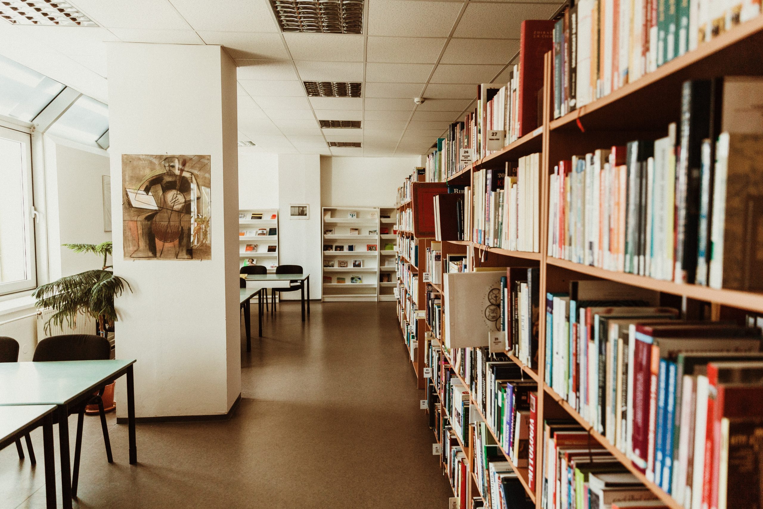 8 year old’s book garners 2 year long wait list at local library