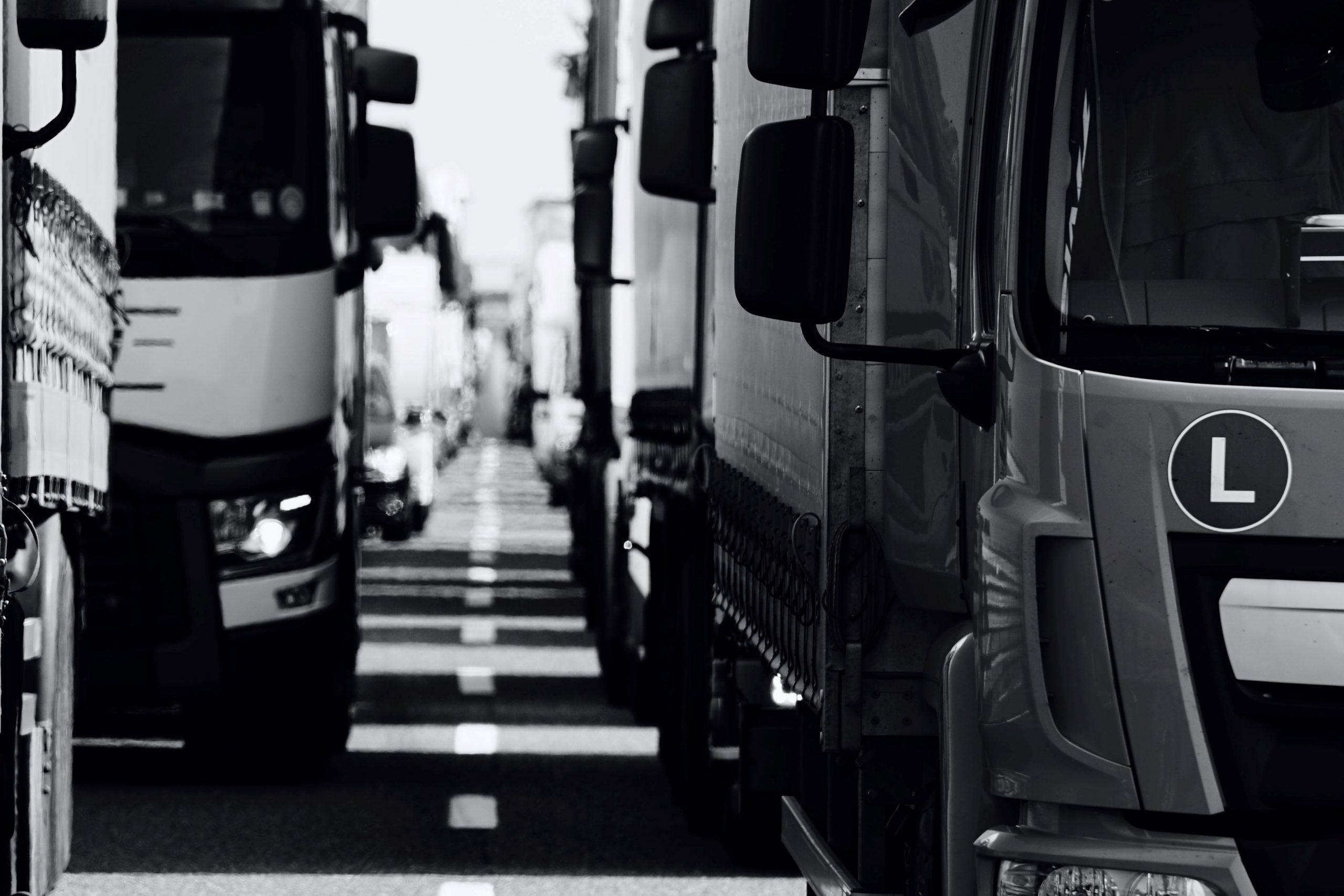 American trucker convoy organizer says DC protest will squeeze beltway like a ‘giant boa constrictor’ 