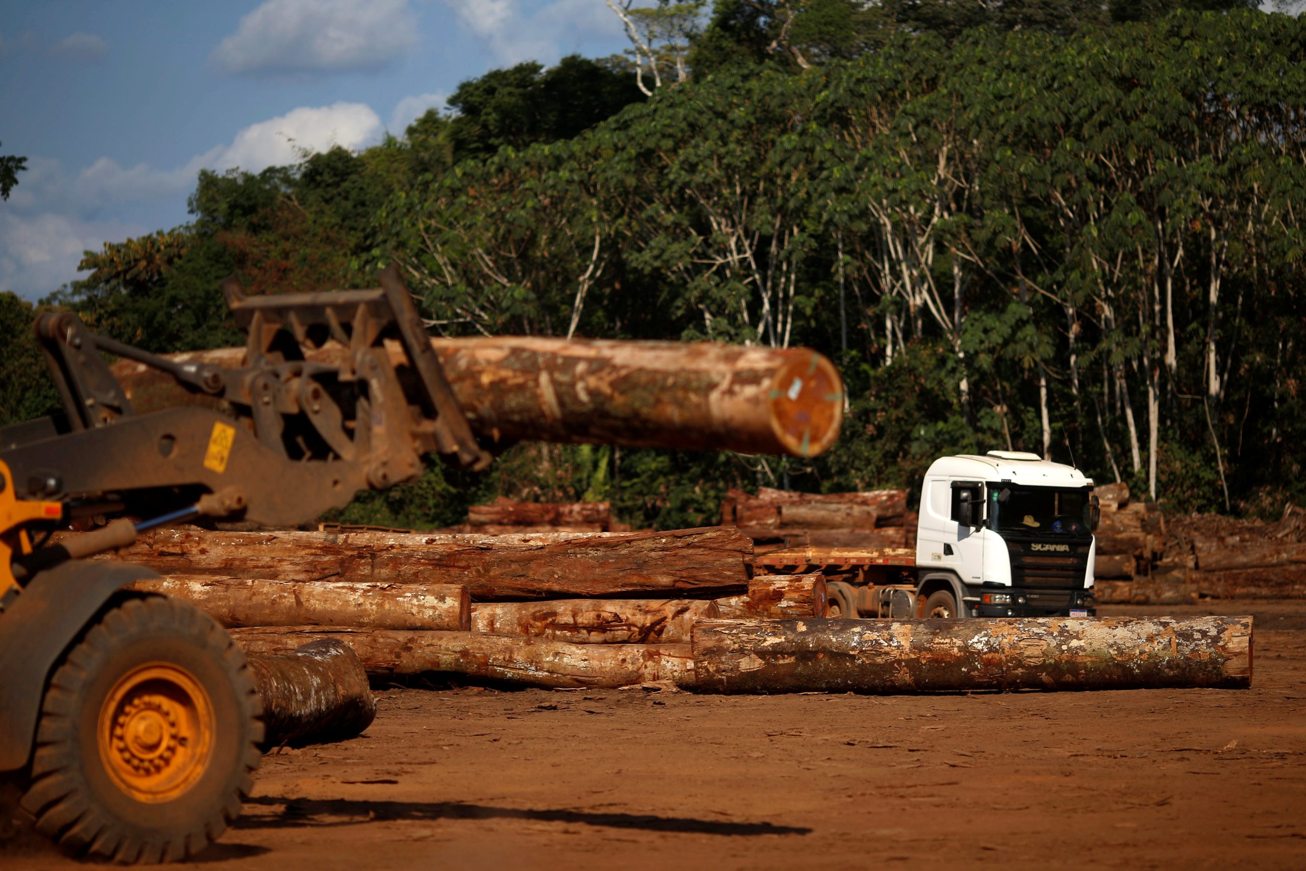 Brazil’s top court likely set to rule in favor of Amazon Fund revival