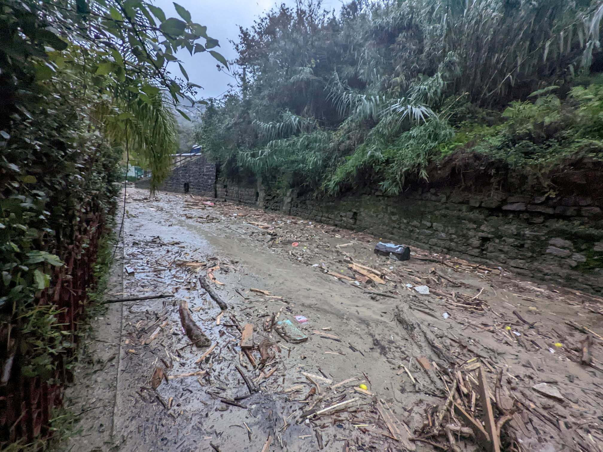 Landslide hits Italian island of Ischia, one woman dead, 10 missing