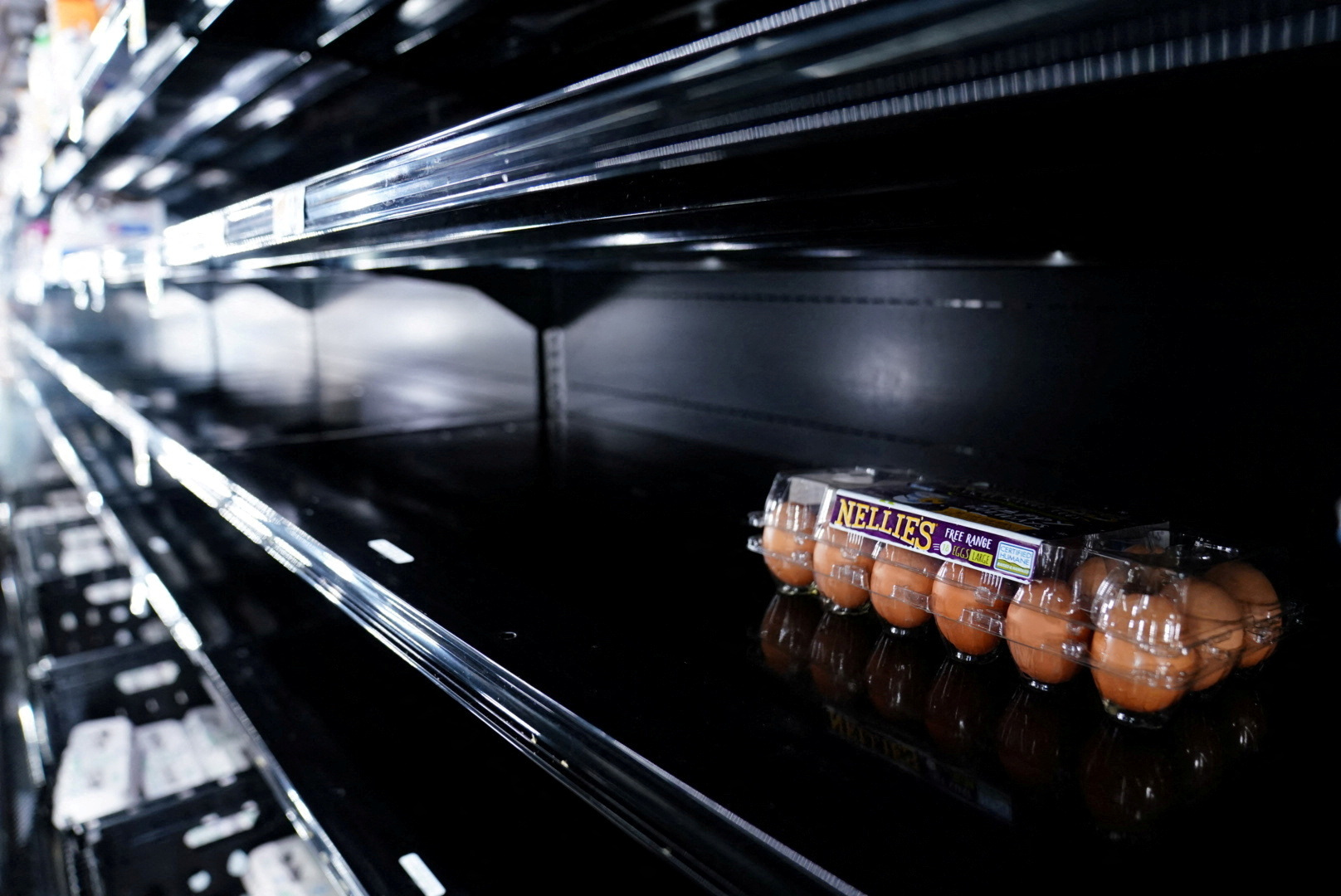 Investigation into egg prices coincides with increased border smuggling effort