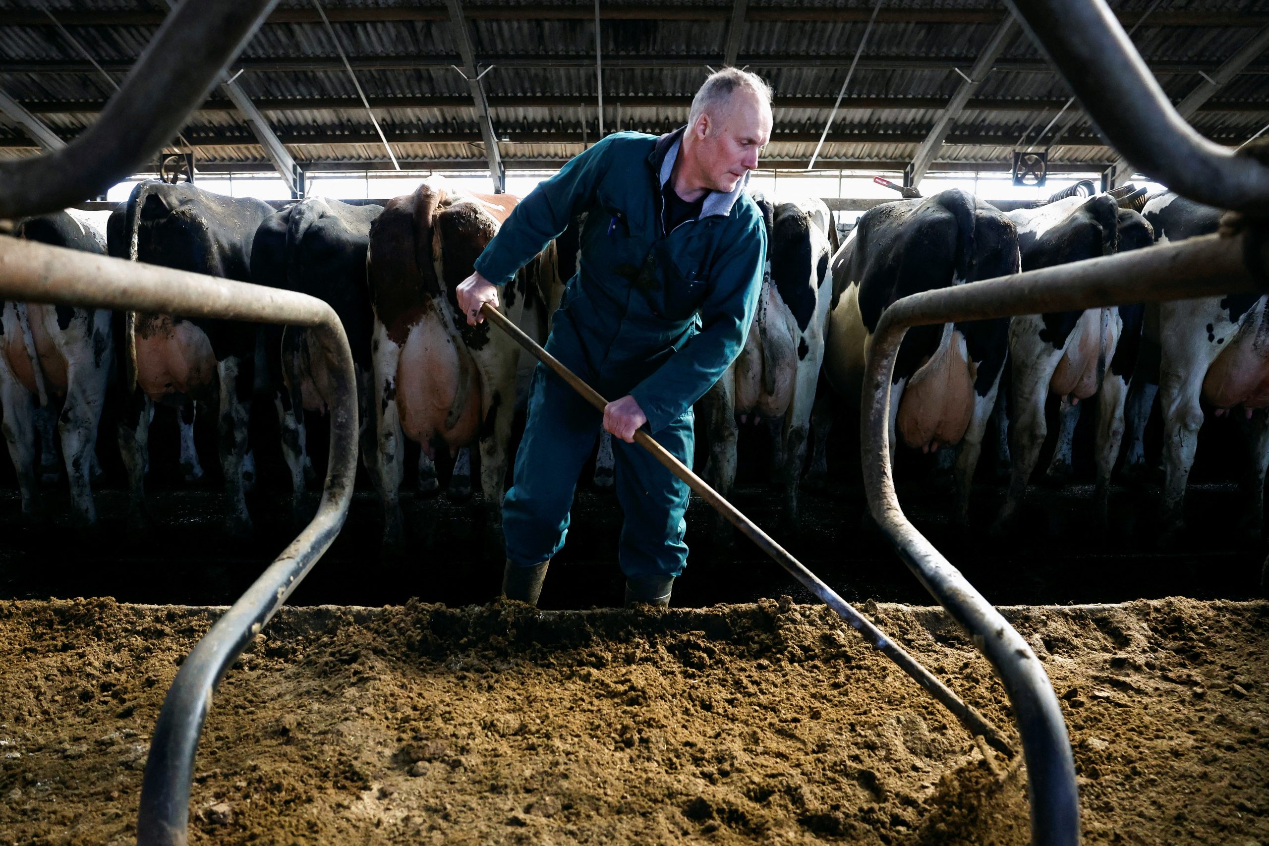 Farmers’ protest party set to shake up Dutch political landscape