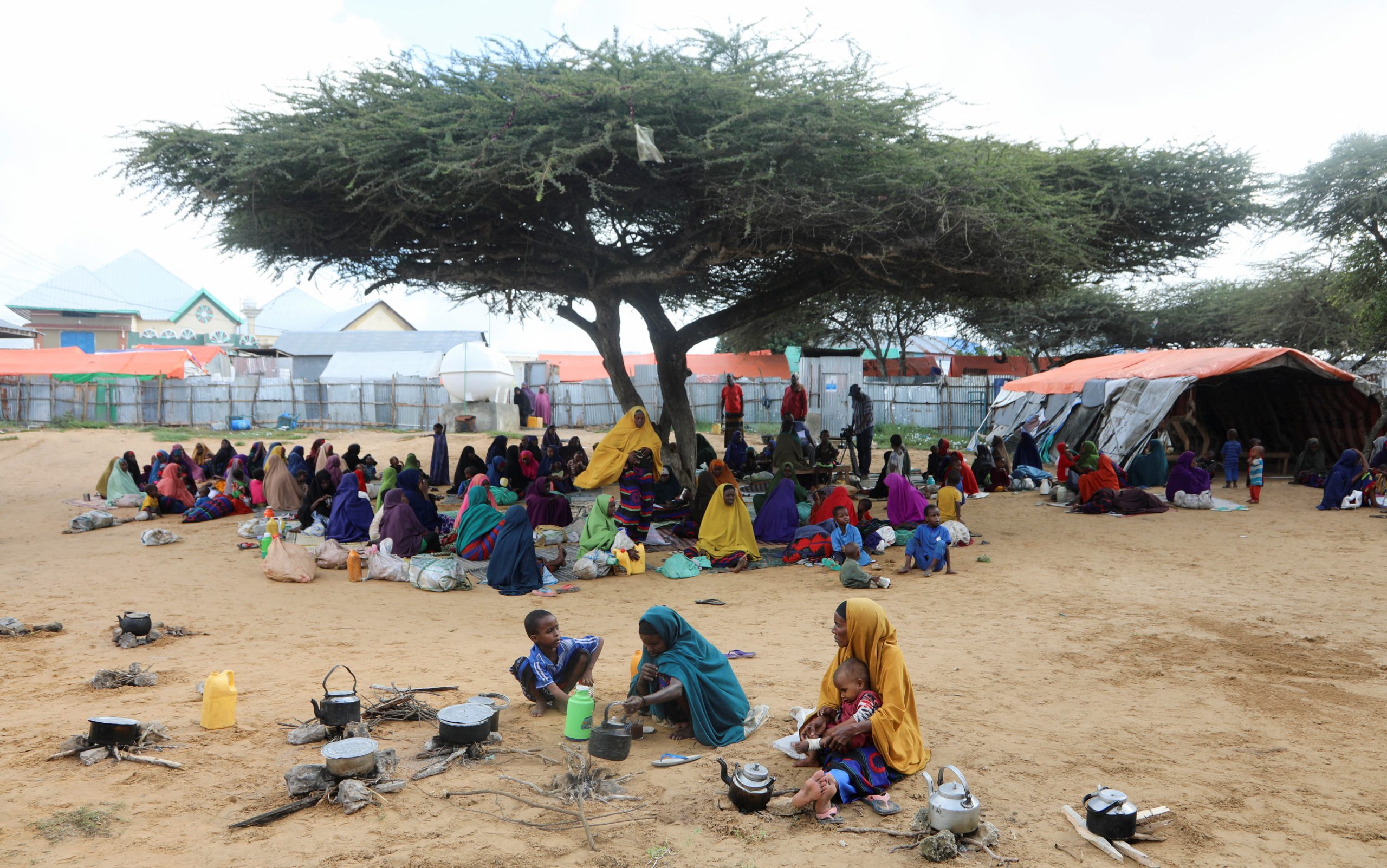 Somalia’s drought killed 43,000 last year, half of them under age five – study