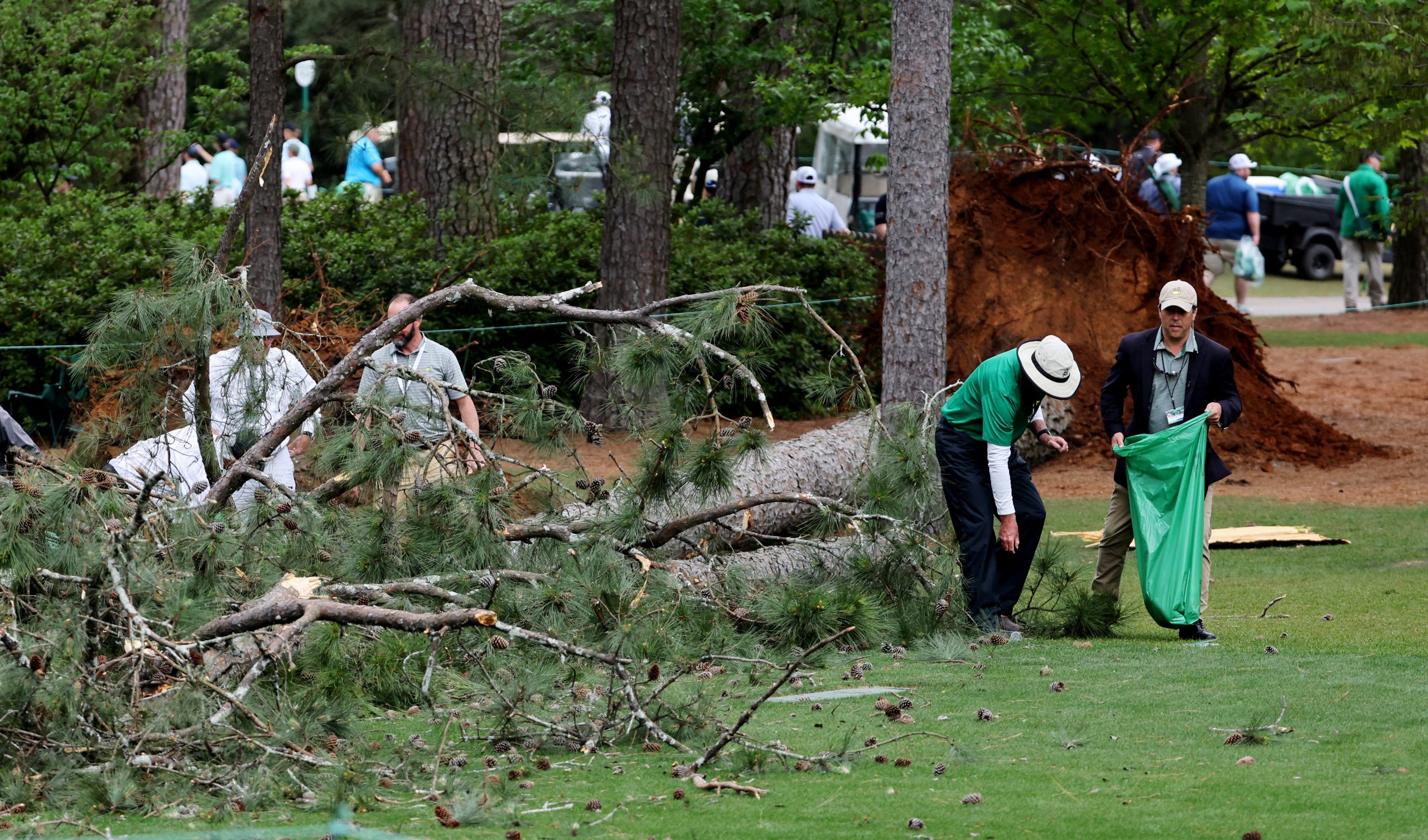 Golf-Pine trees fall near Masters patrons, nobody injured