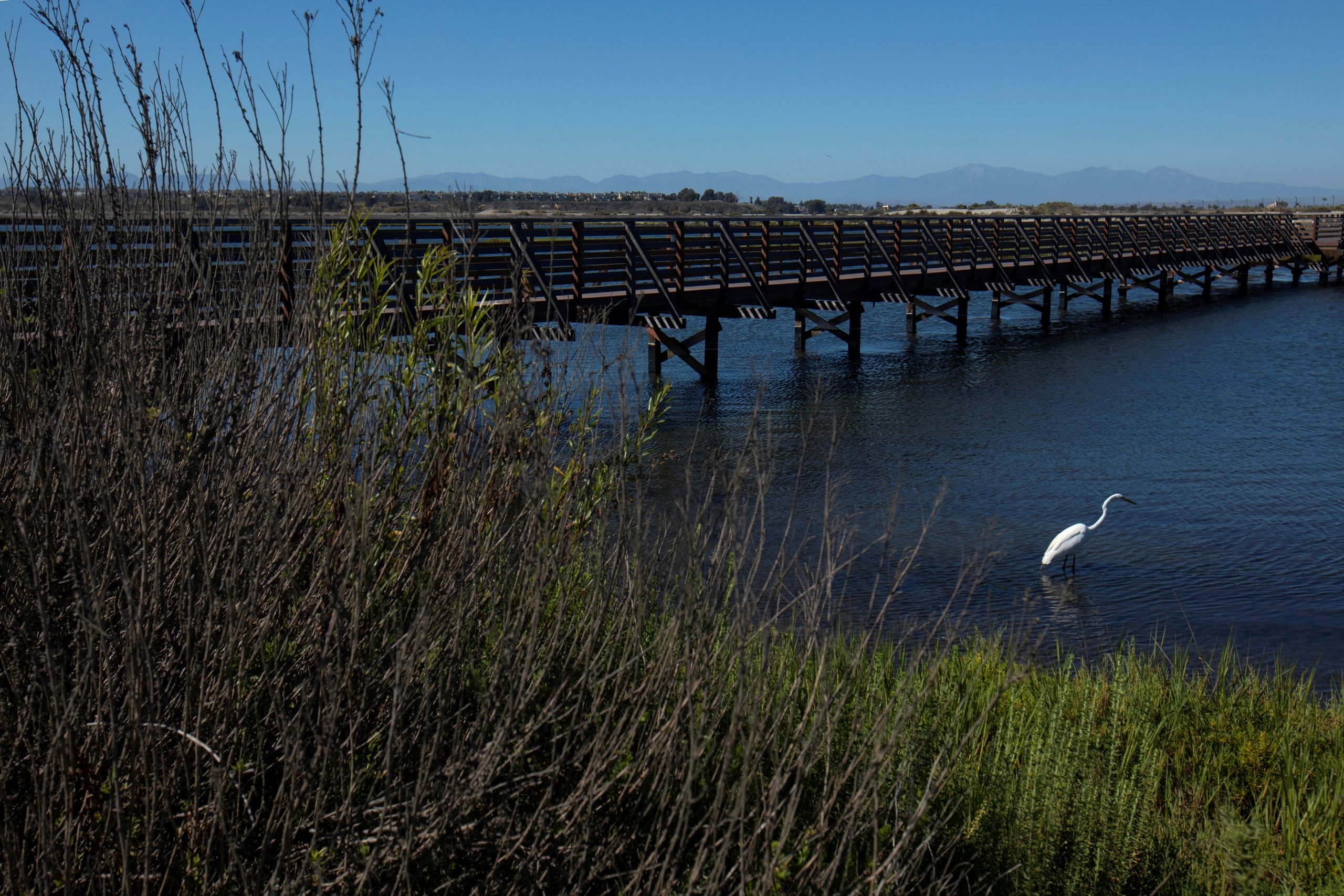 U.S. judge blocks Biden clean water rule in 24 states