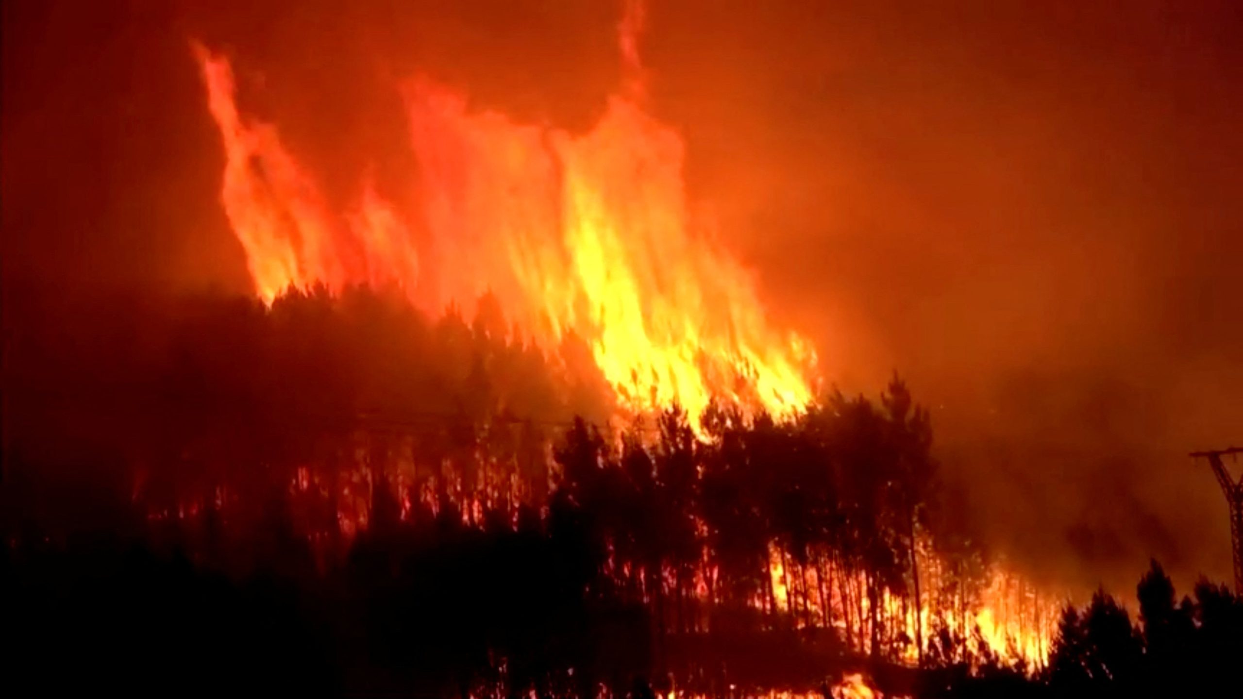 Villagers evacuated as wildfire ravages woodlands in western Spain